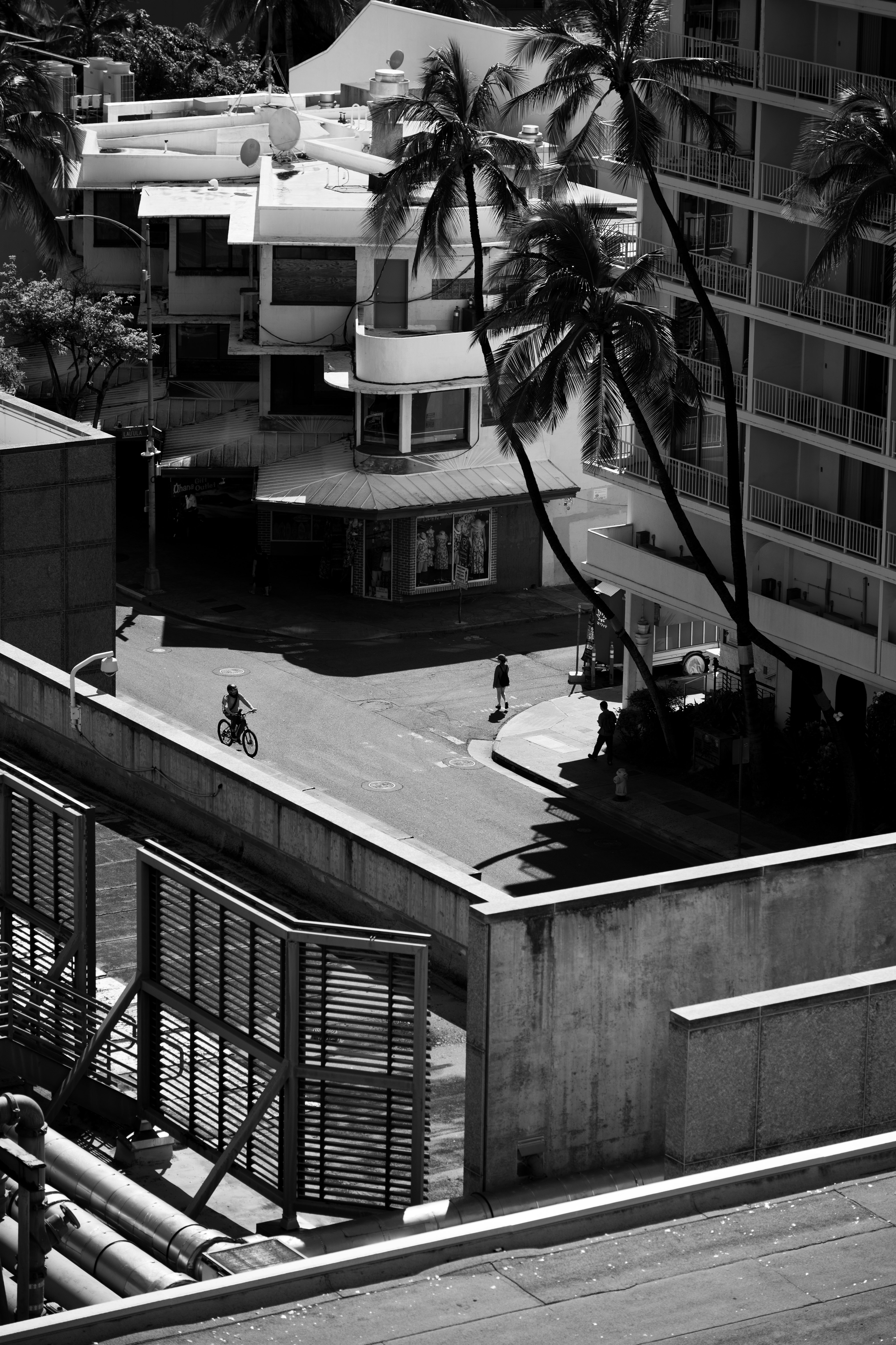 vista del cortile di un hotel con palme e balconi