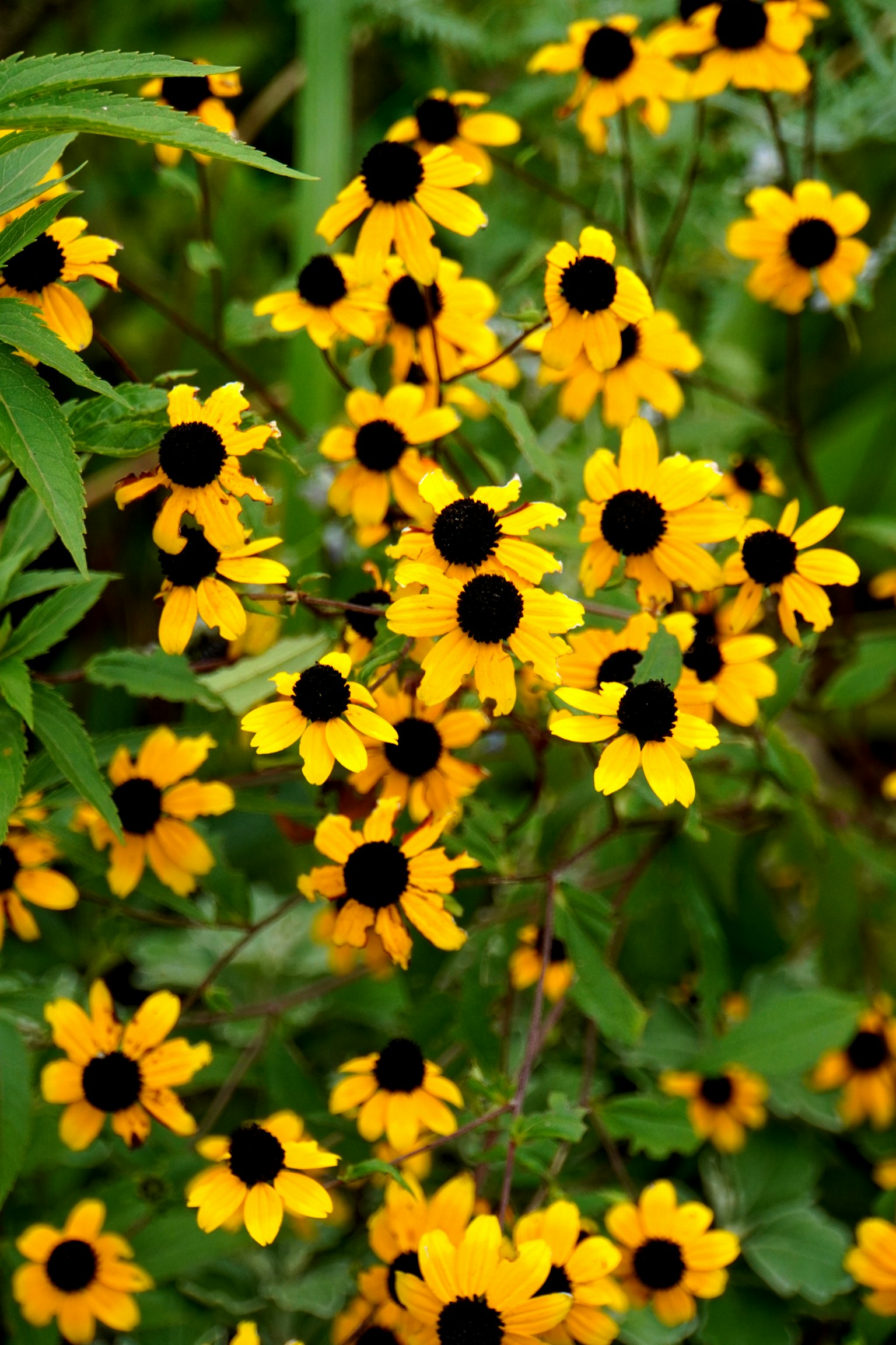 photo-Obv2jRU7REbmTQsPz3ij-image