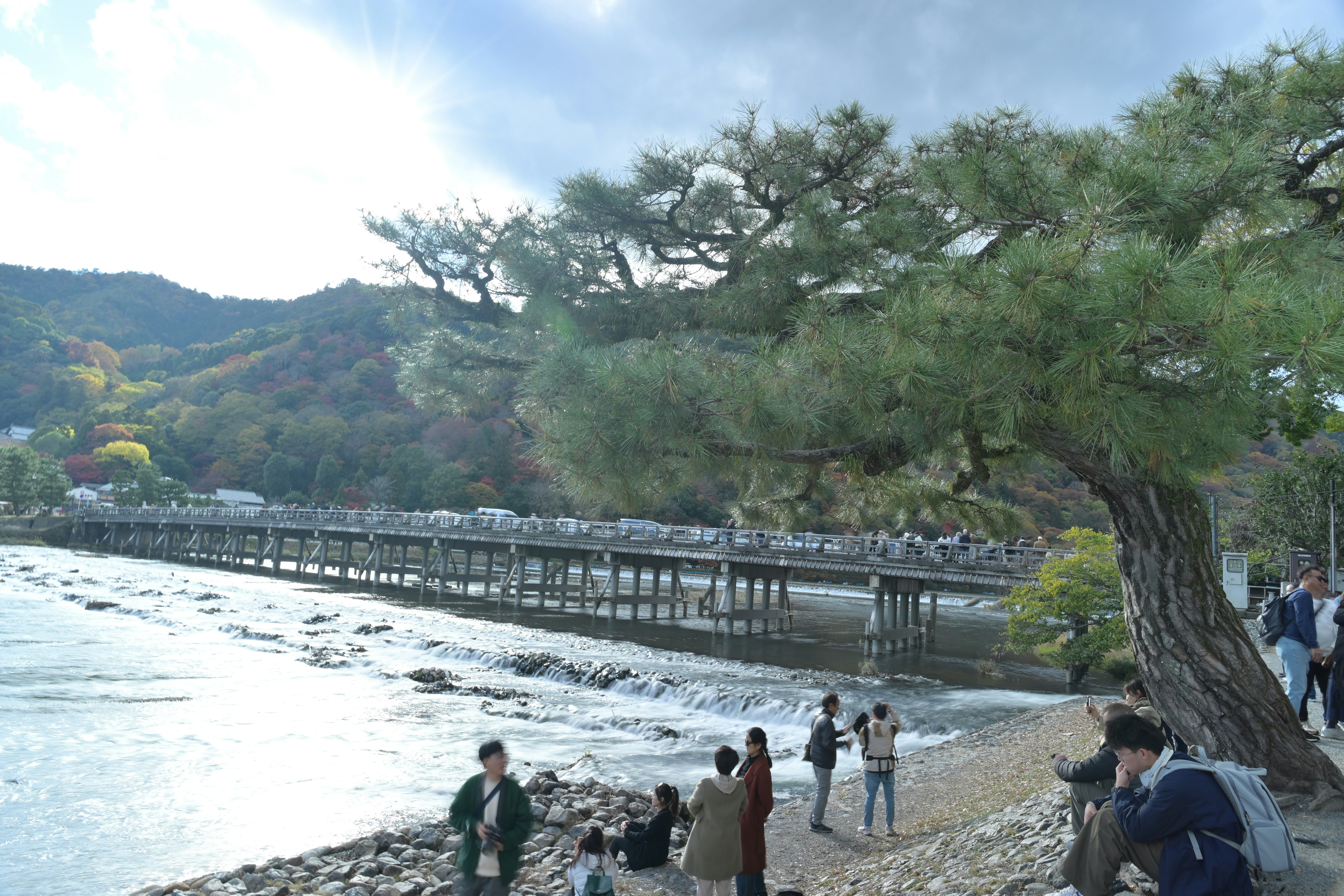 河岸步道與沿岸樹木的風景