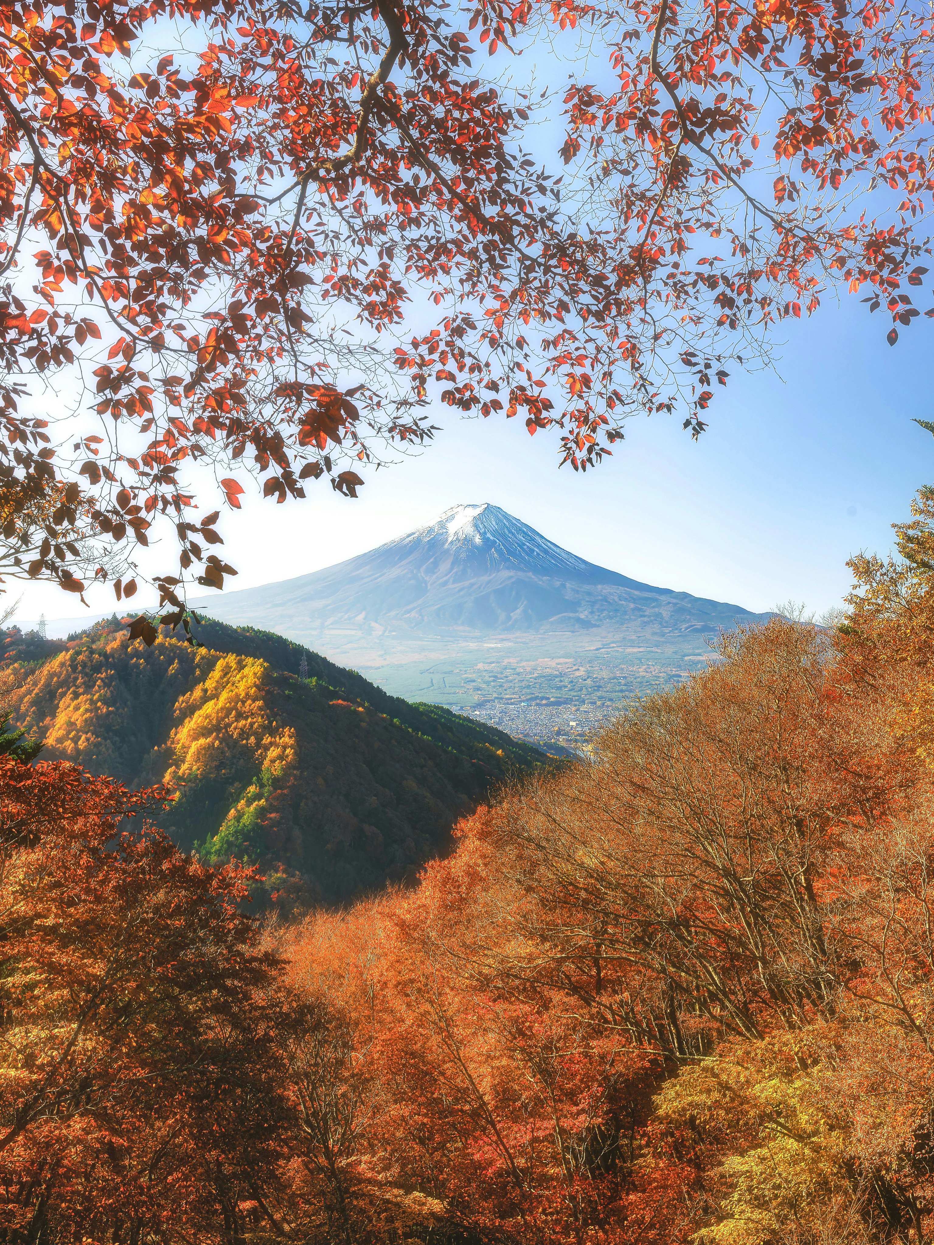 Autumn mountain view with red maple leaves and Mount Fuji