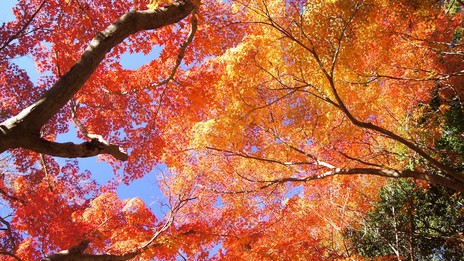 photo-Occ8m7j5Fj0lTCMspFIW-image