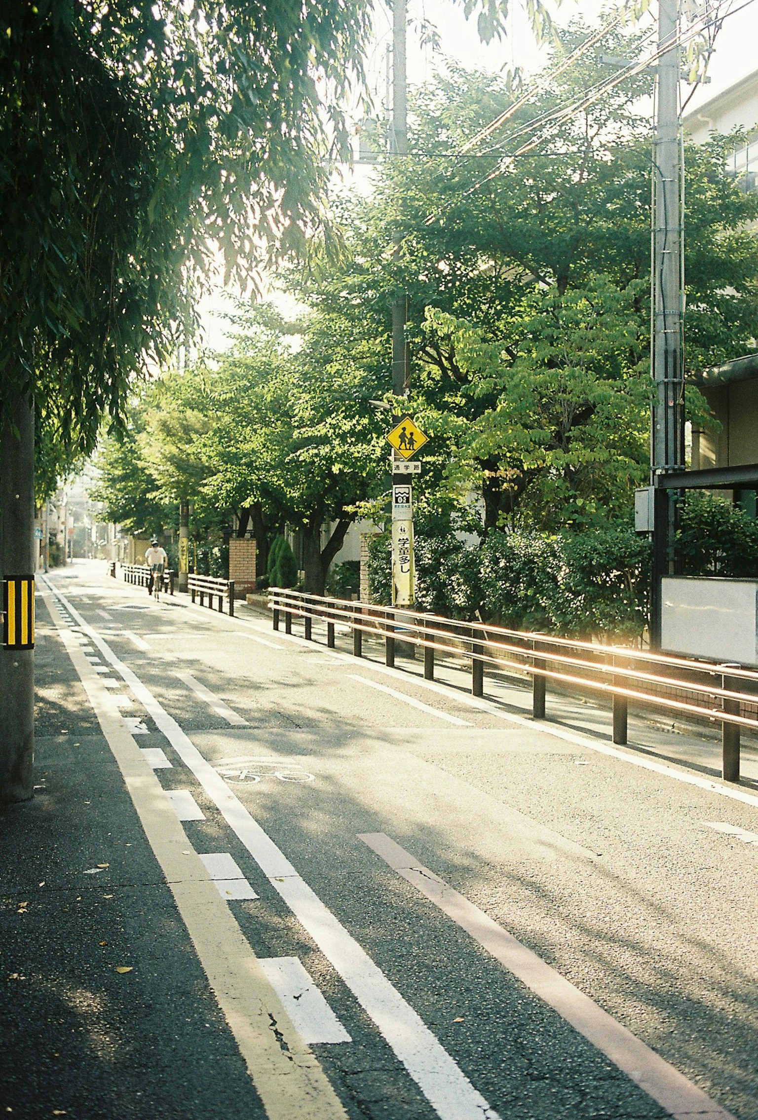 Quiet street lined with lush trees and a traffic sign