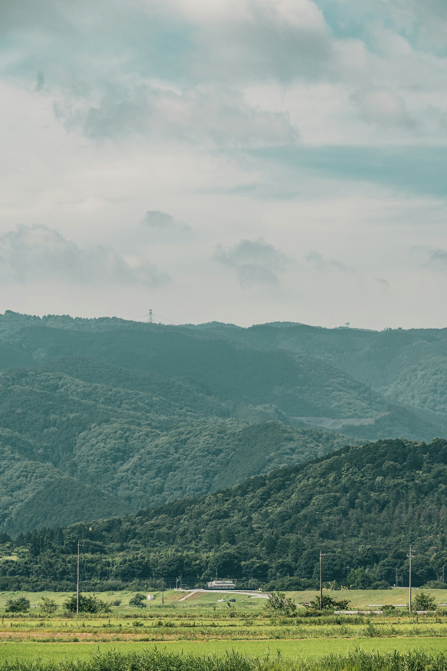 寧靜的山脈和綠色田野的風景