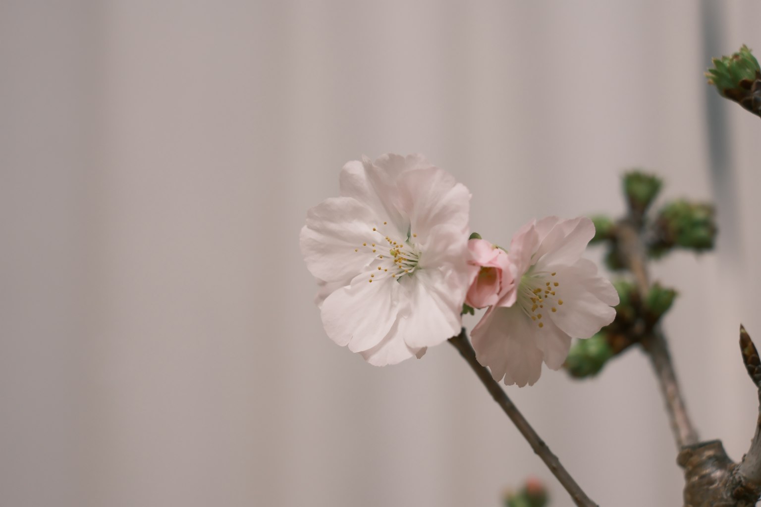 photo-OePEPueHvrk2i3IoO9yw-image
