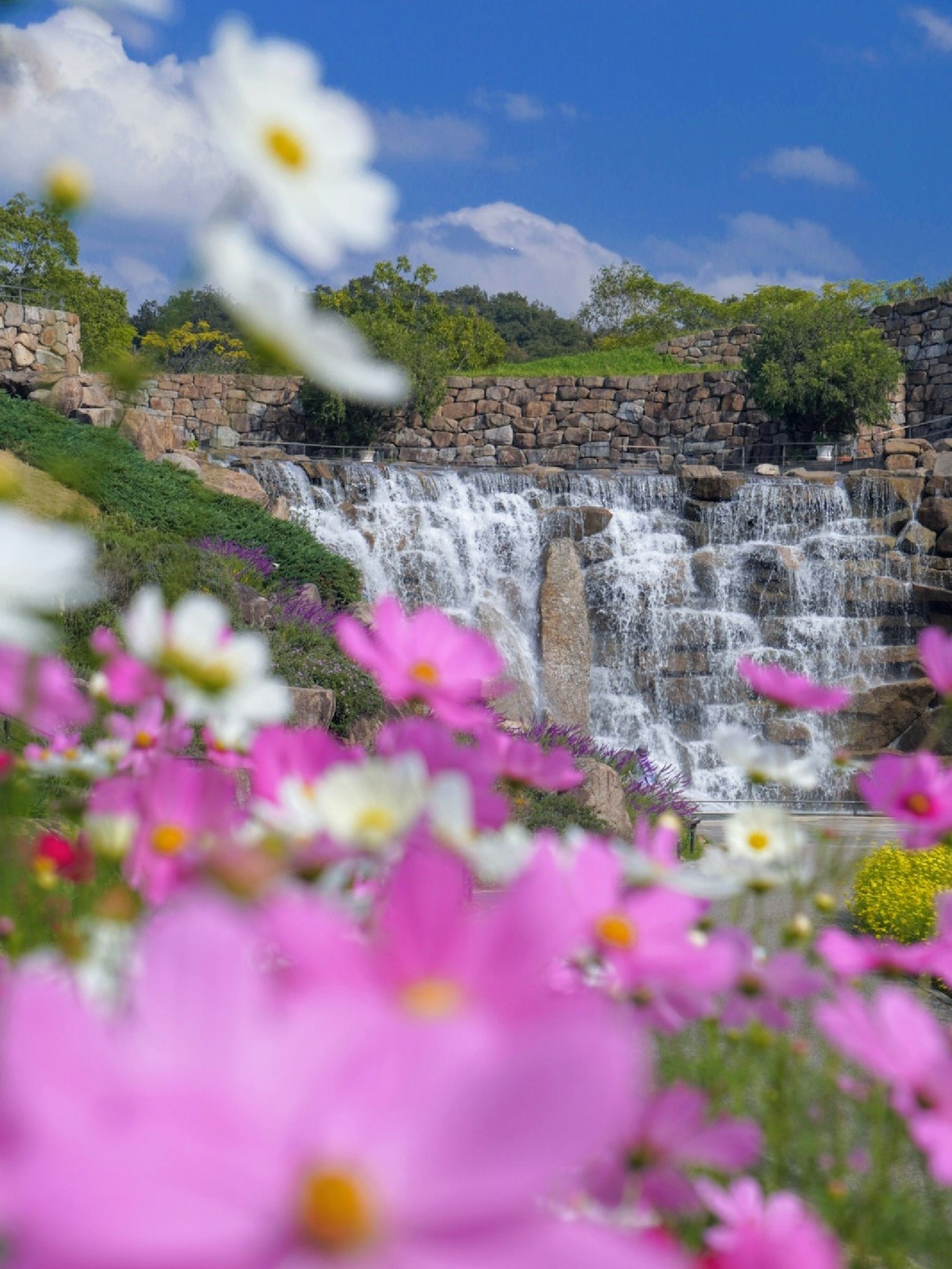 Fiori colorati davanti a una bellissima cascata sotto un cielo blu