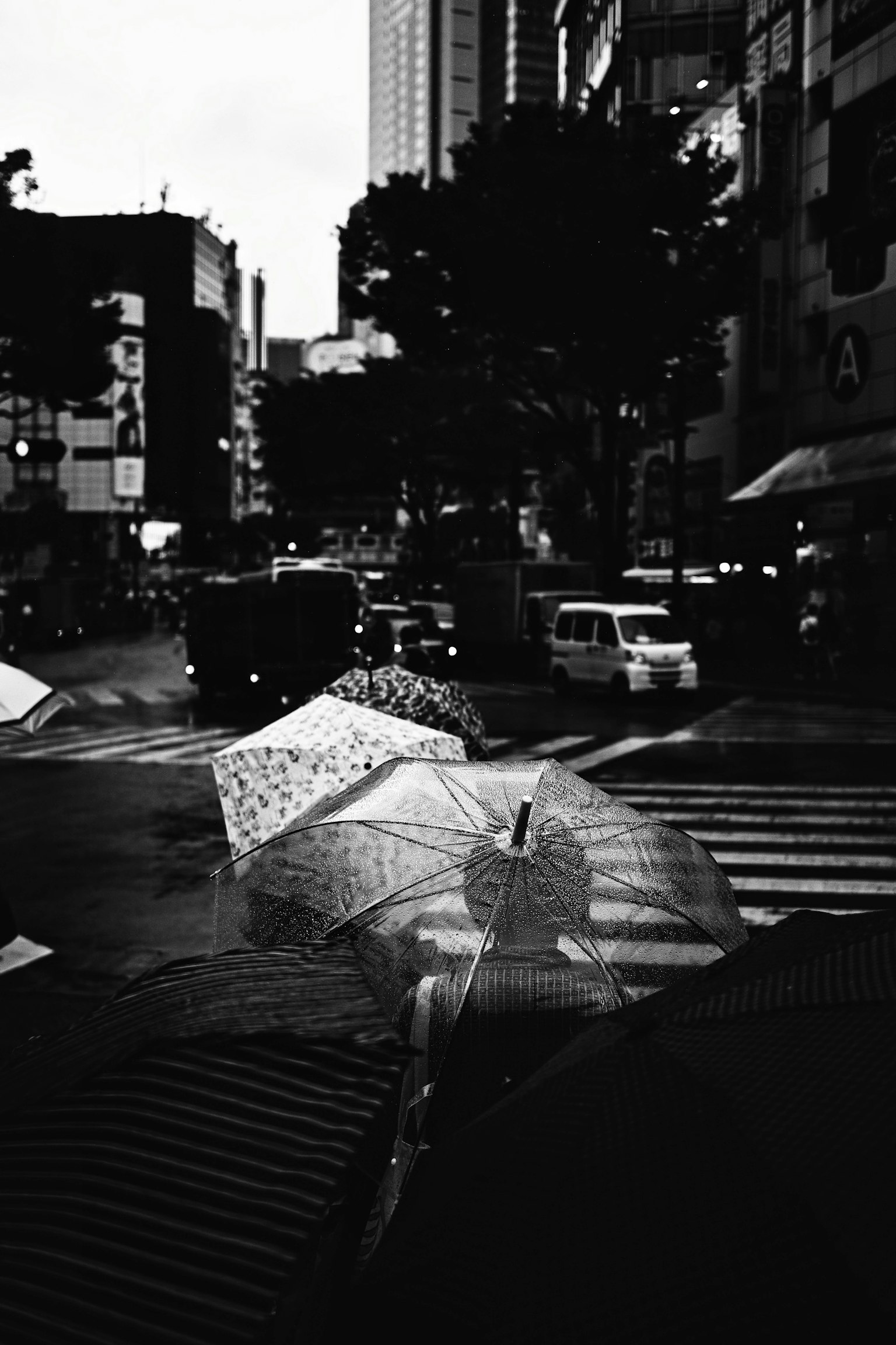 Image en noir et blanc de parapluies sous la pluie avec un paysage urbain
