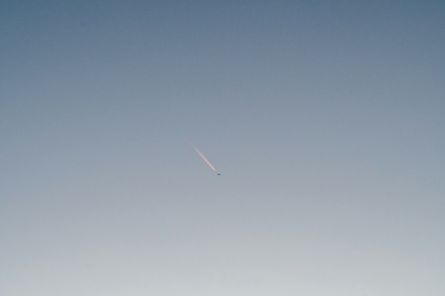 photo-OfkSwox4knL8lJpkpaiq-image