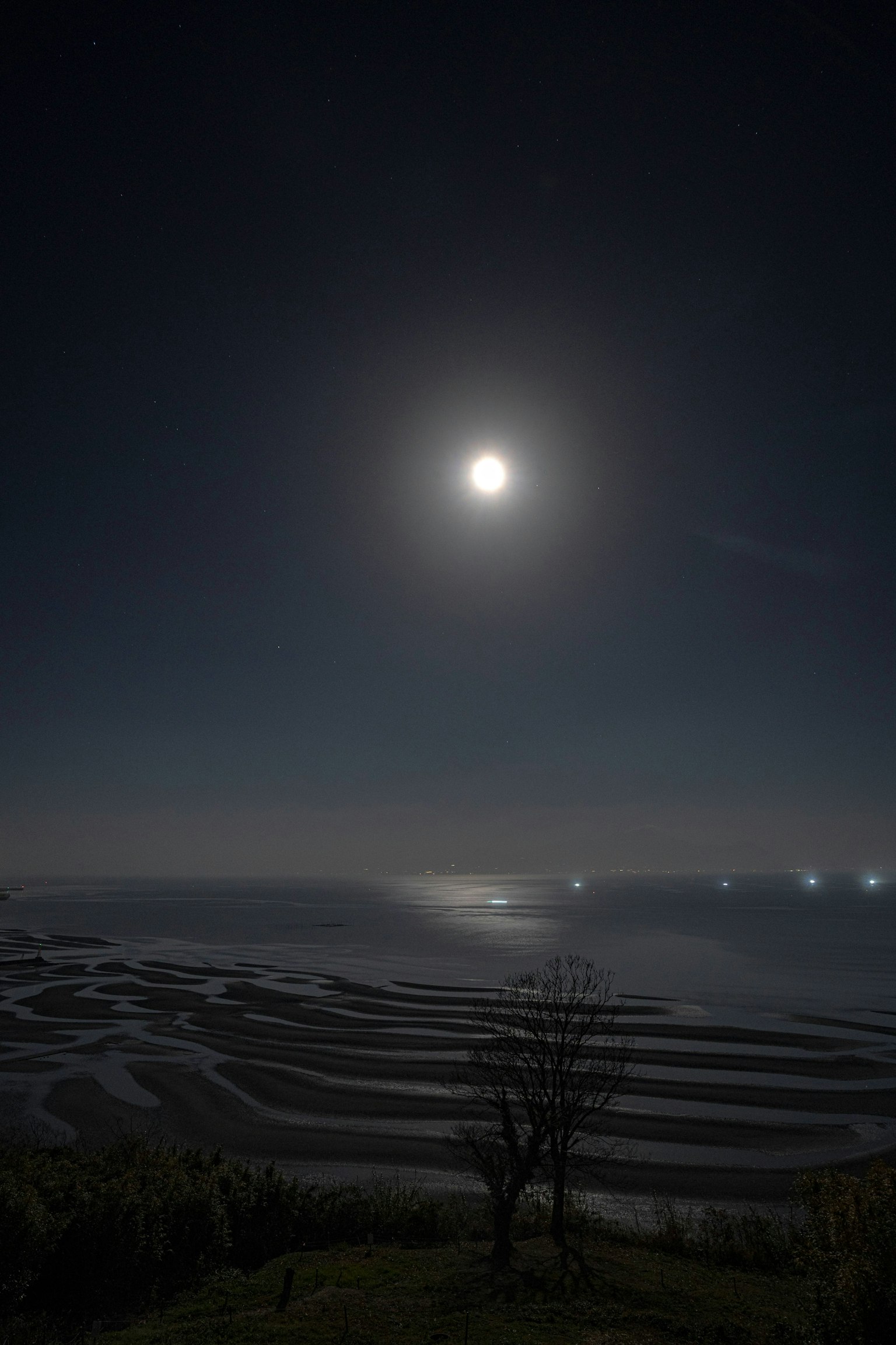 Mondlichtlandschaft über ruhiger See und Wattflächen