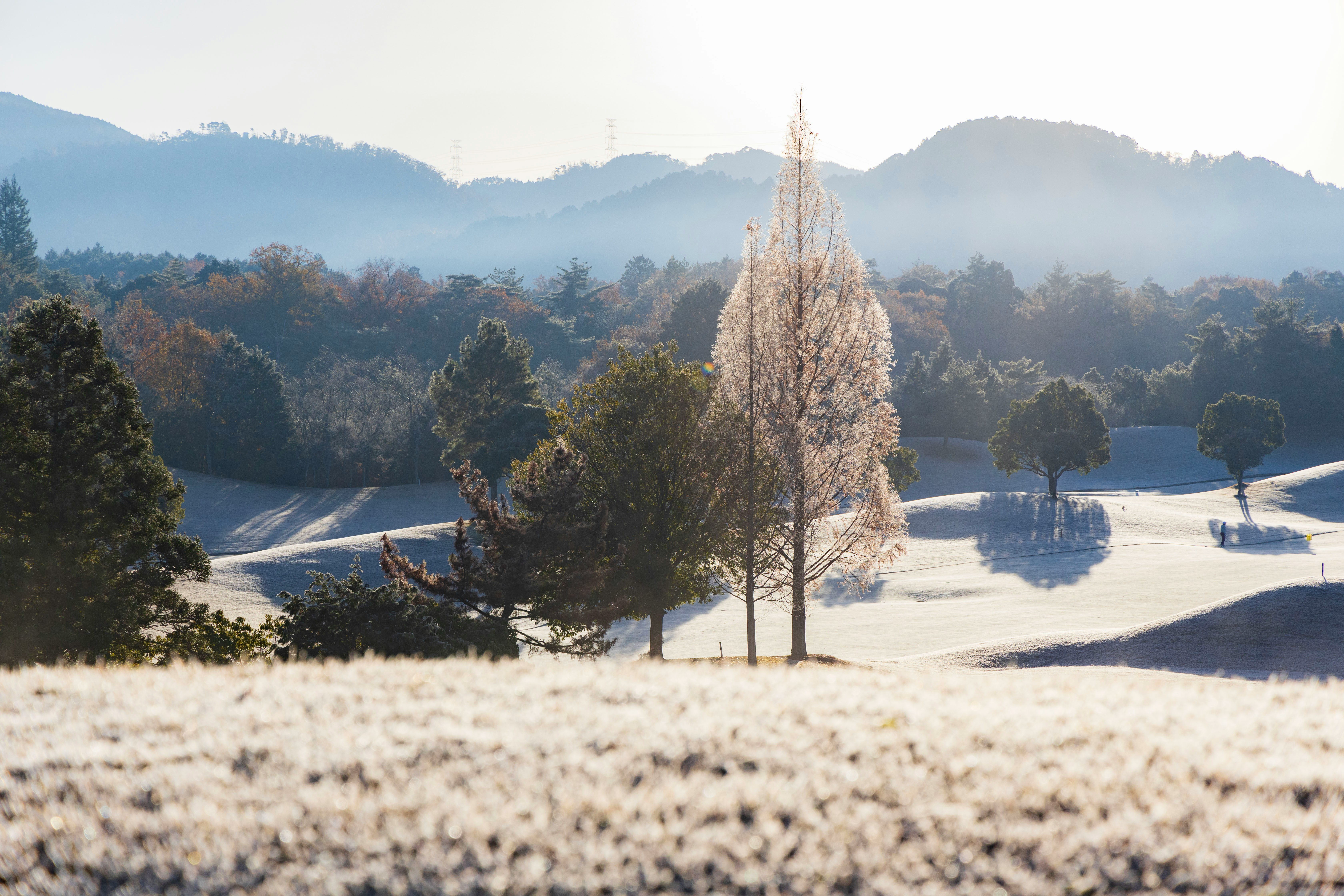 霧のかかった丘陵と雪の残る田園風景