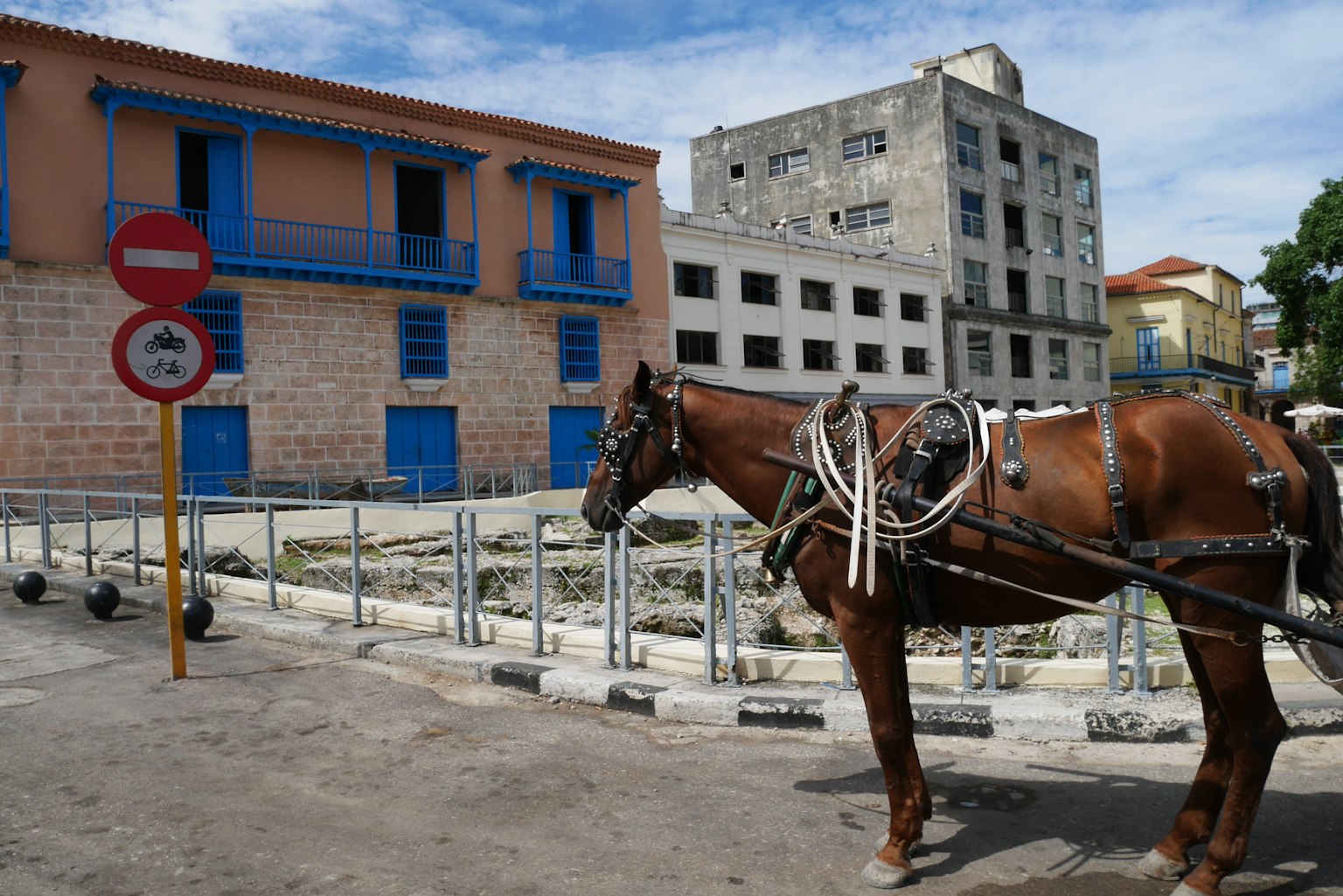 Escena callejera con un caballo y un edificio con marcos de ventanas azules