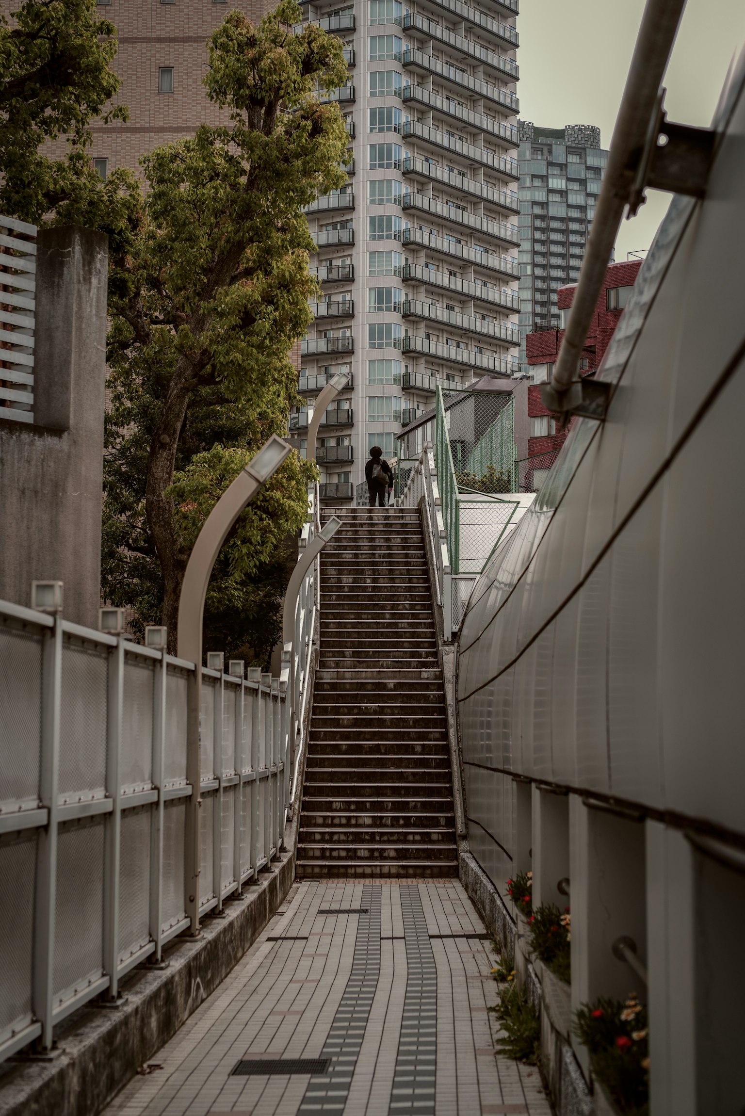 一个人在高楼之间的楼梯上走，城市环境中有绿化和混凝土结构