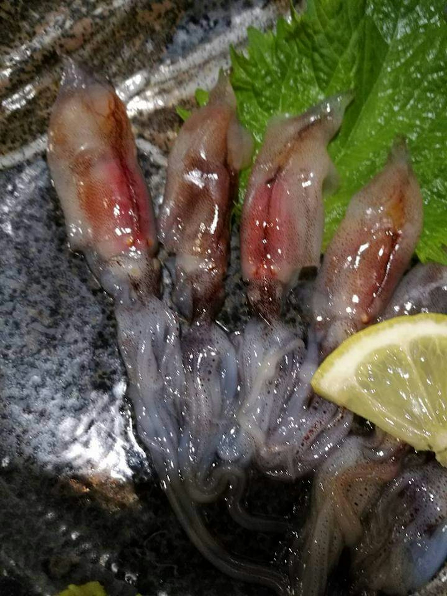 การจัดเรียงปลาหมึกสดพร้อมด้วยมะนาวและใบไม้