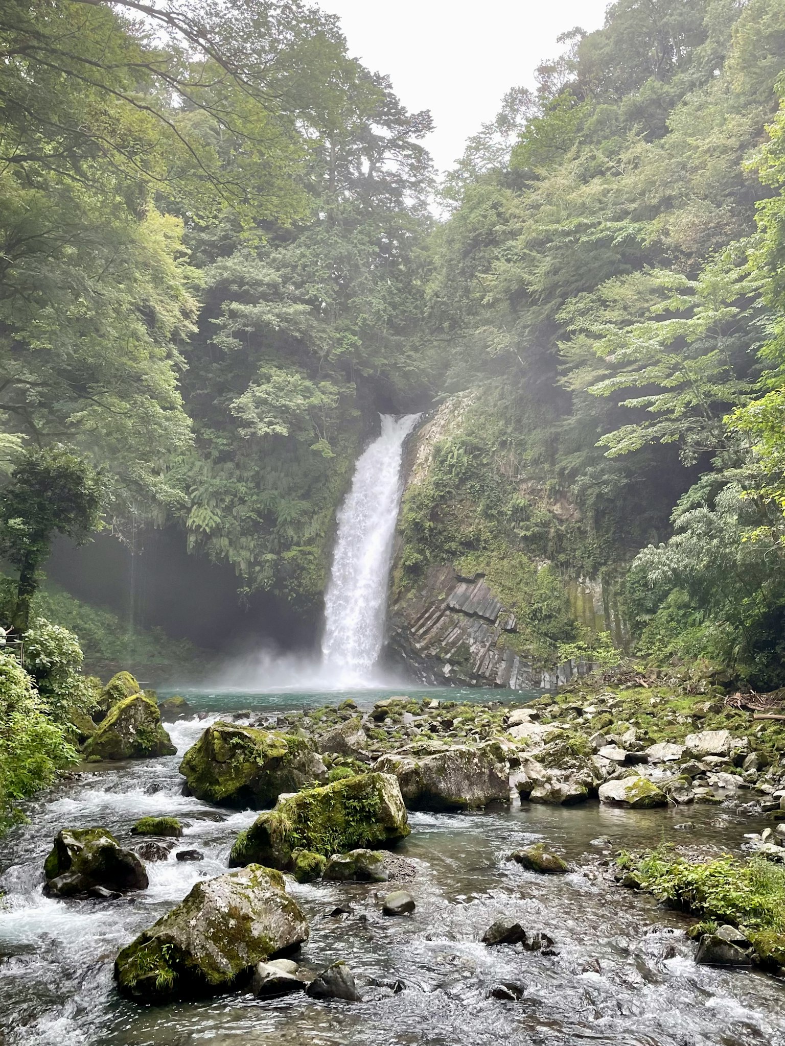 Ein schöner Wasserfall umgeben von üppigem Grün und klarem Wasser