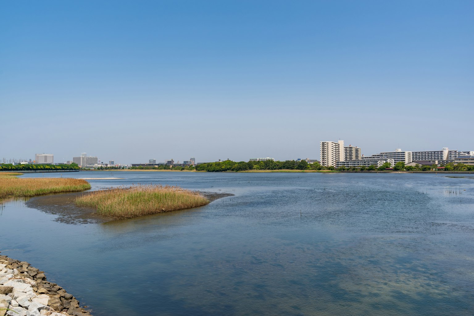 Scenic view of a river with clear blue sky and calm waters featuring tall buildings and green vegetation