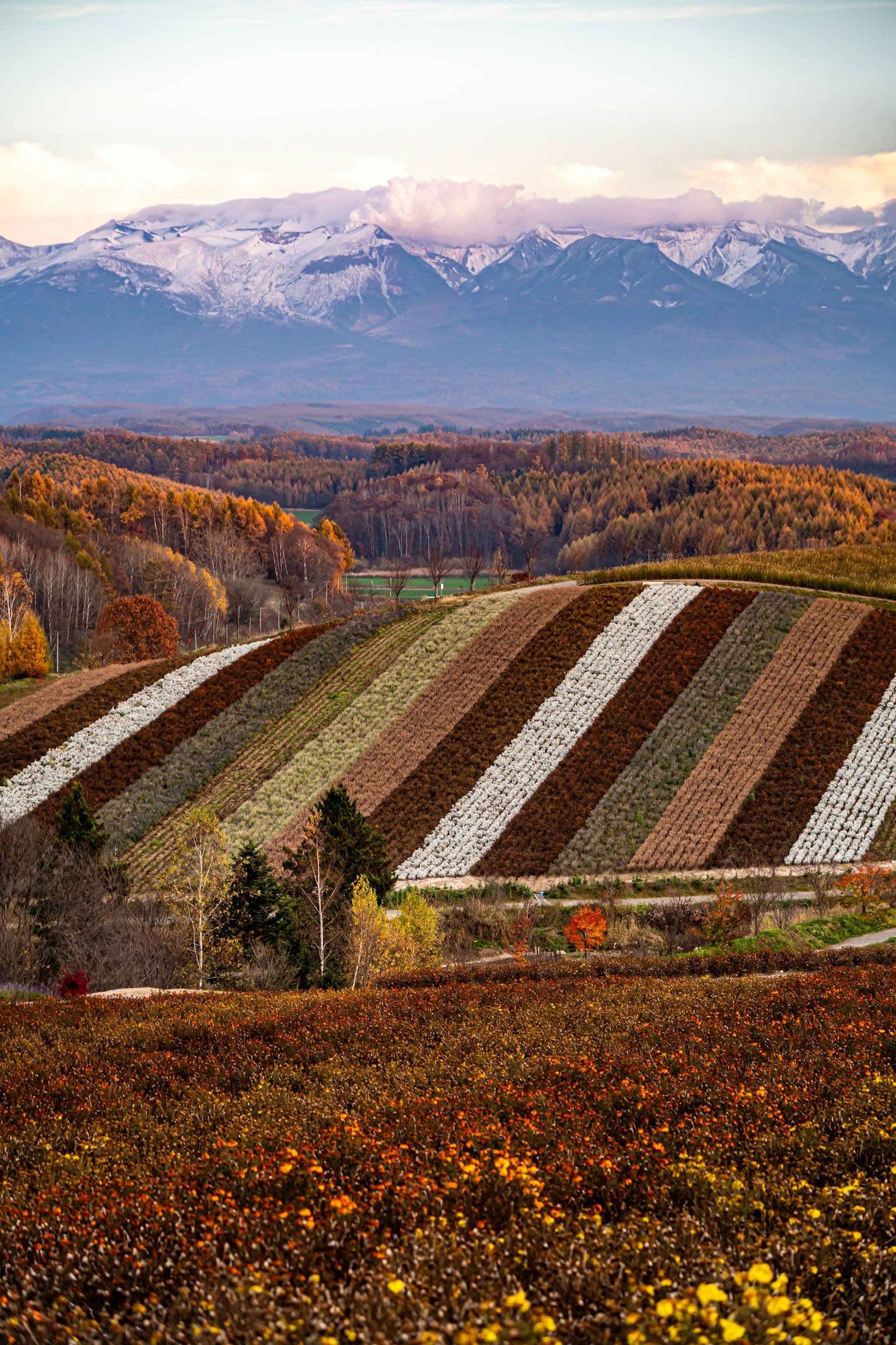 photo-OgavboVlRHzoMVqHK57L-image