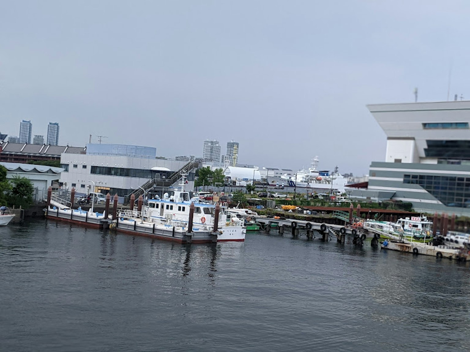 港口停靠的渔船与背景中的现代建筑的景观