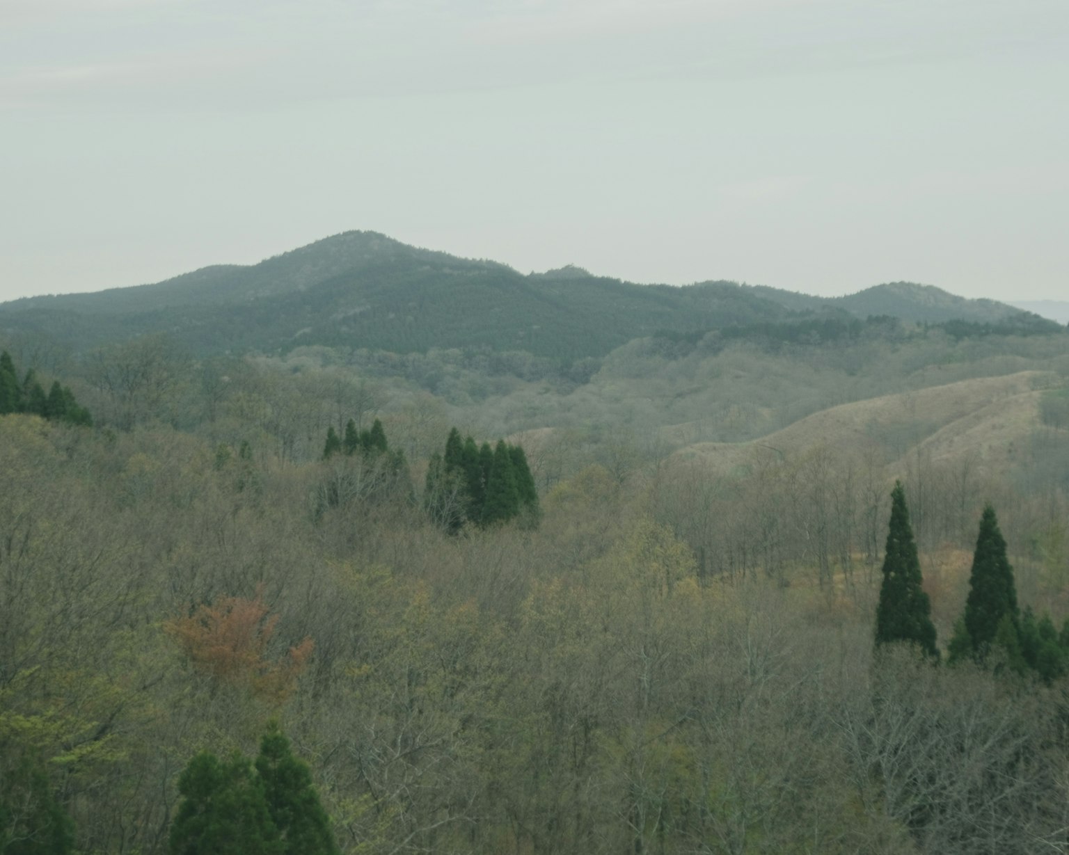 Autumn landscape featuring mountains and trees
