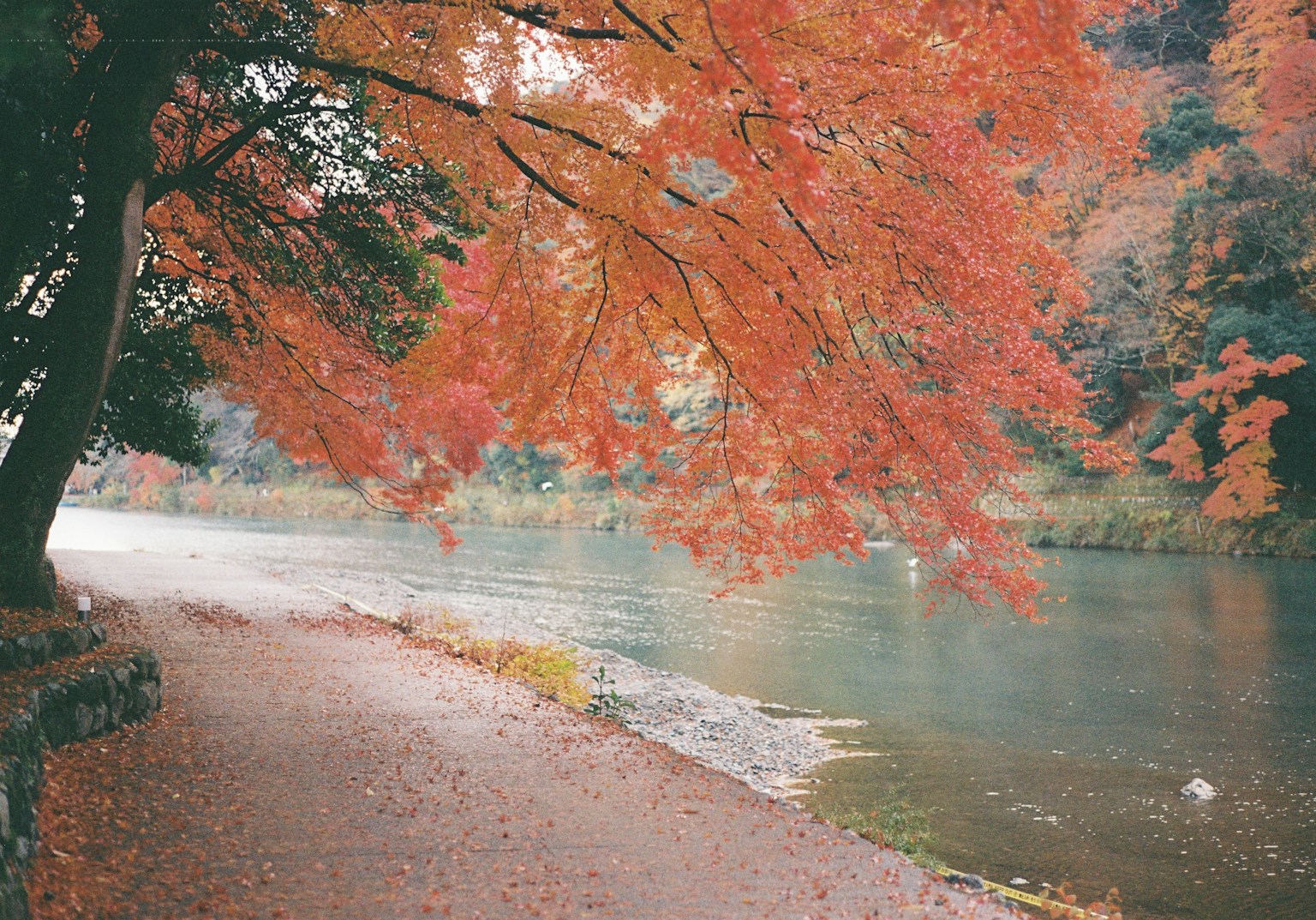photo-Ohnn0NWXxeo6H39TqjRJ-image