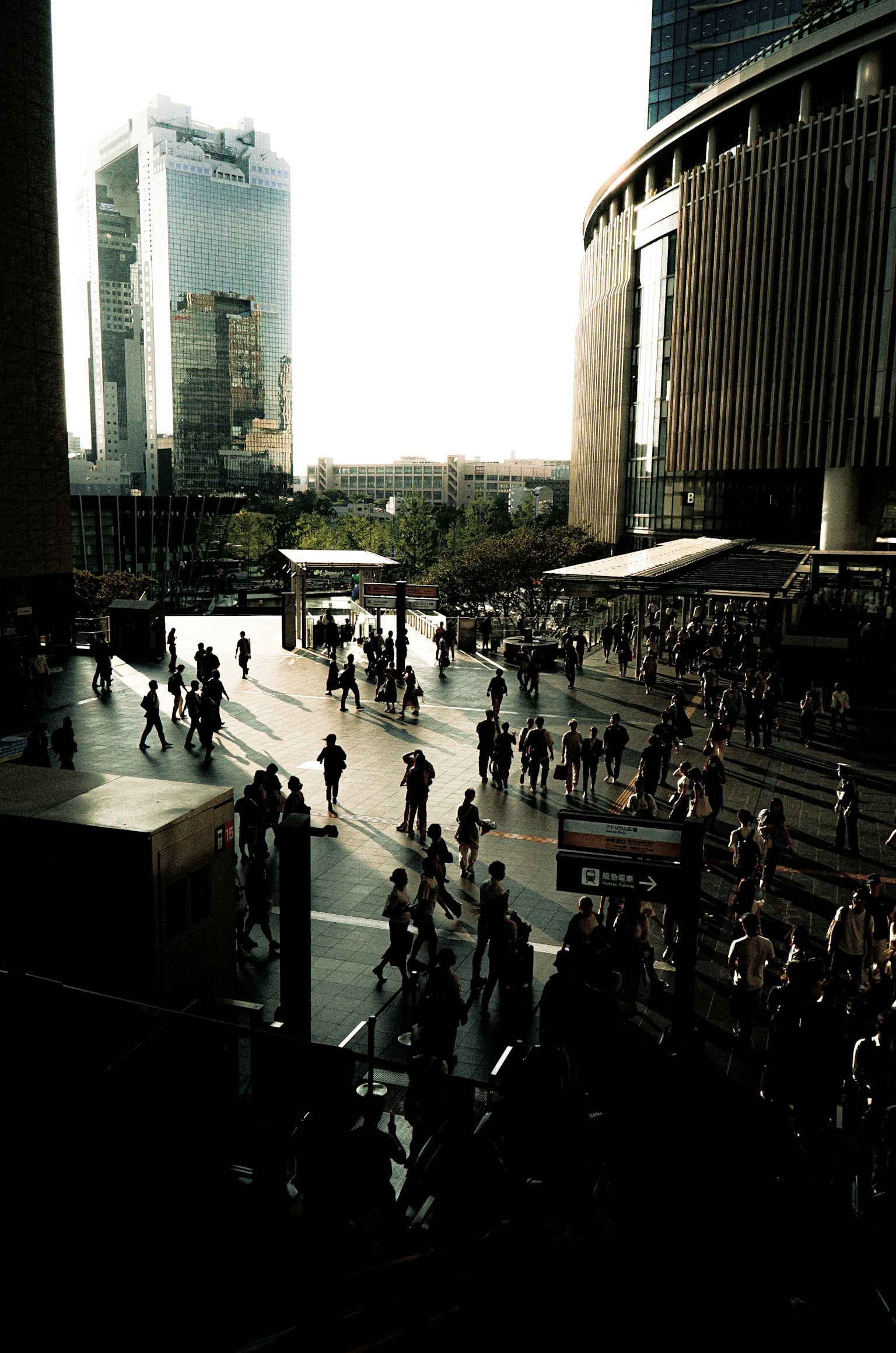 photo-OiTrG4xvQCst6J7BHqzc-image