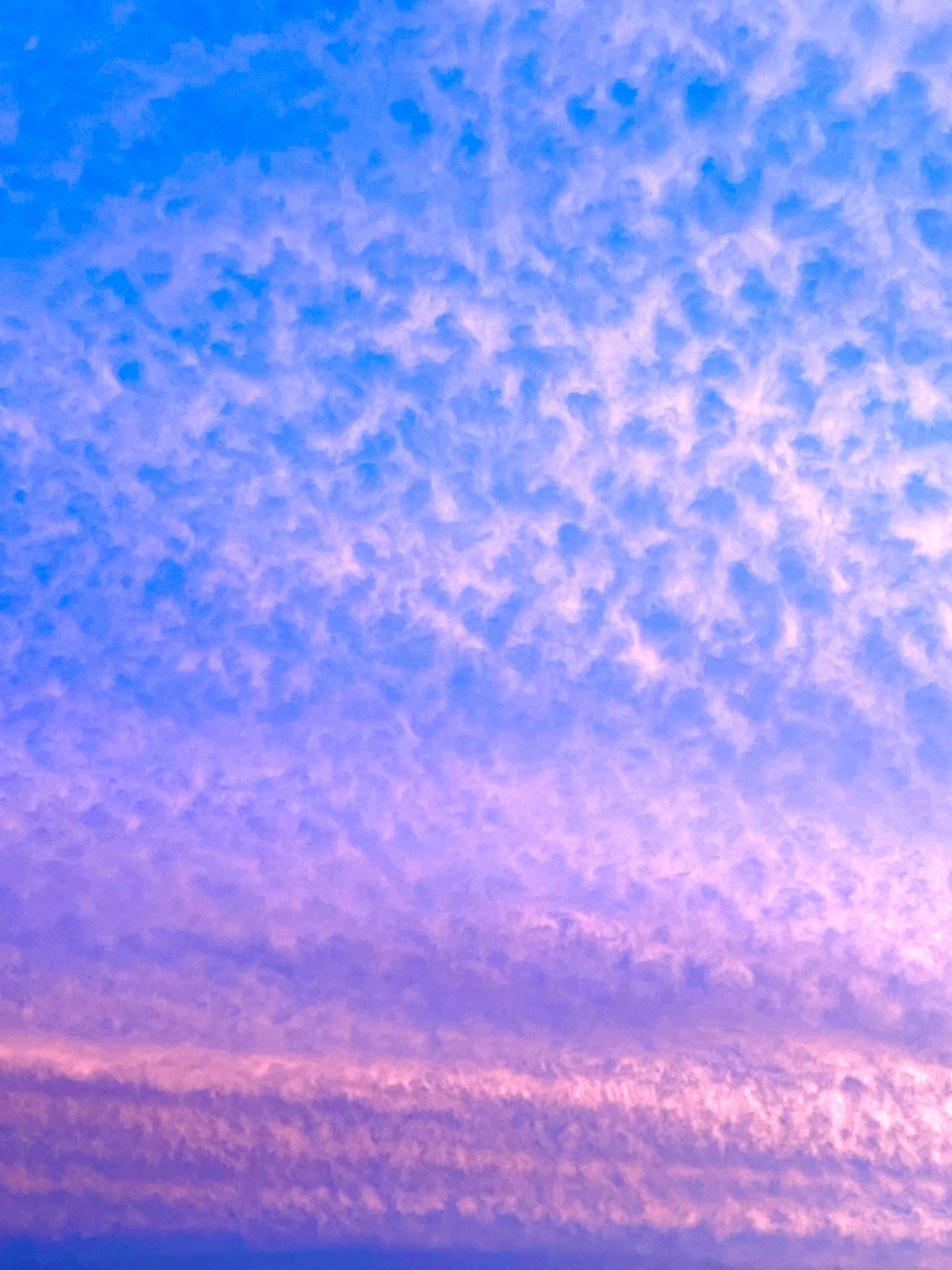 青と紫の美しい雲が広がる空の風景