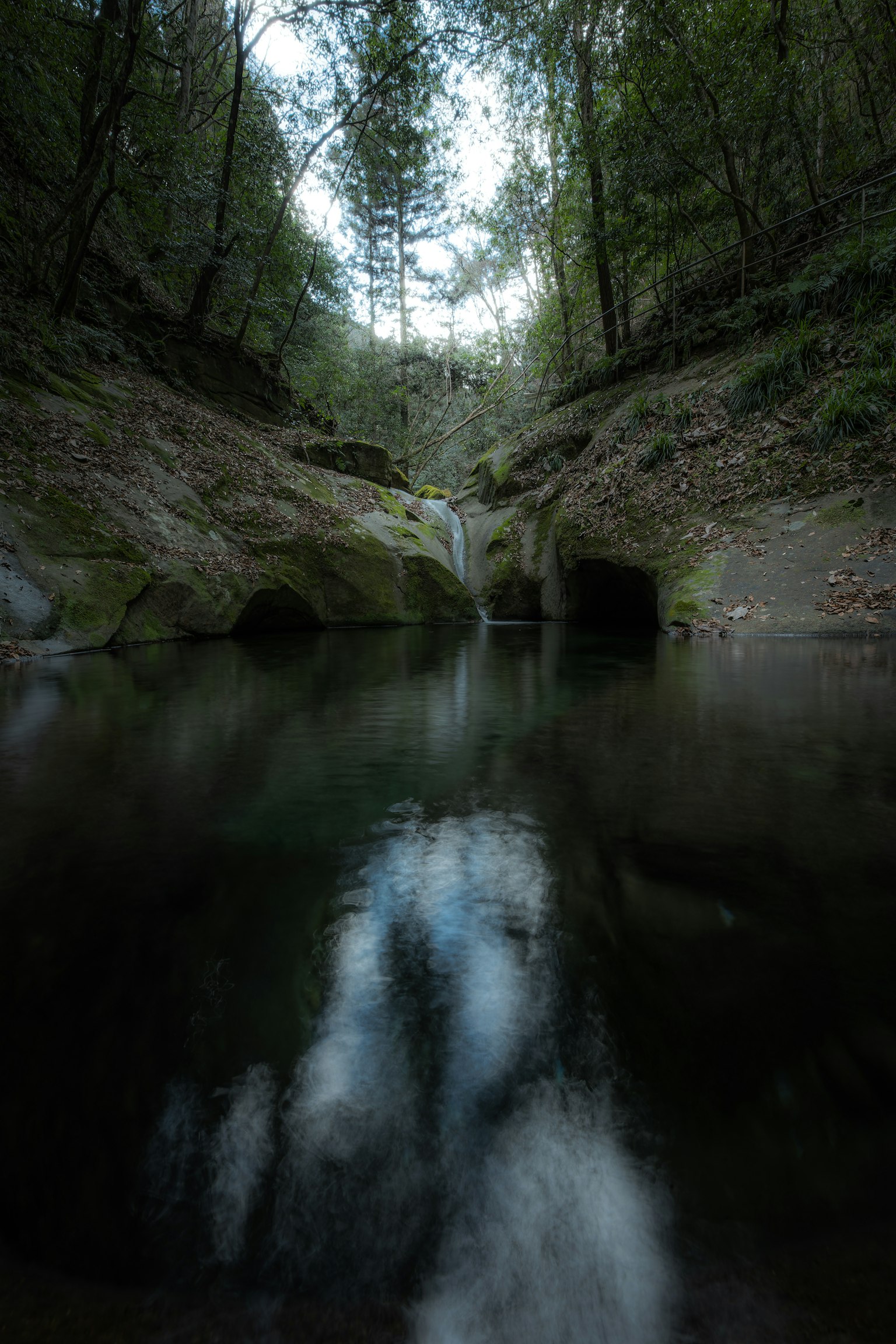 Pemandangan hutan tenang dengan air terjun kecil dan refleksi di permukaan air