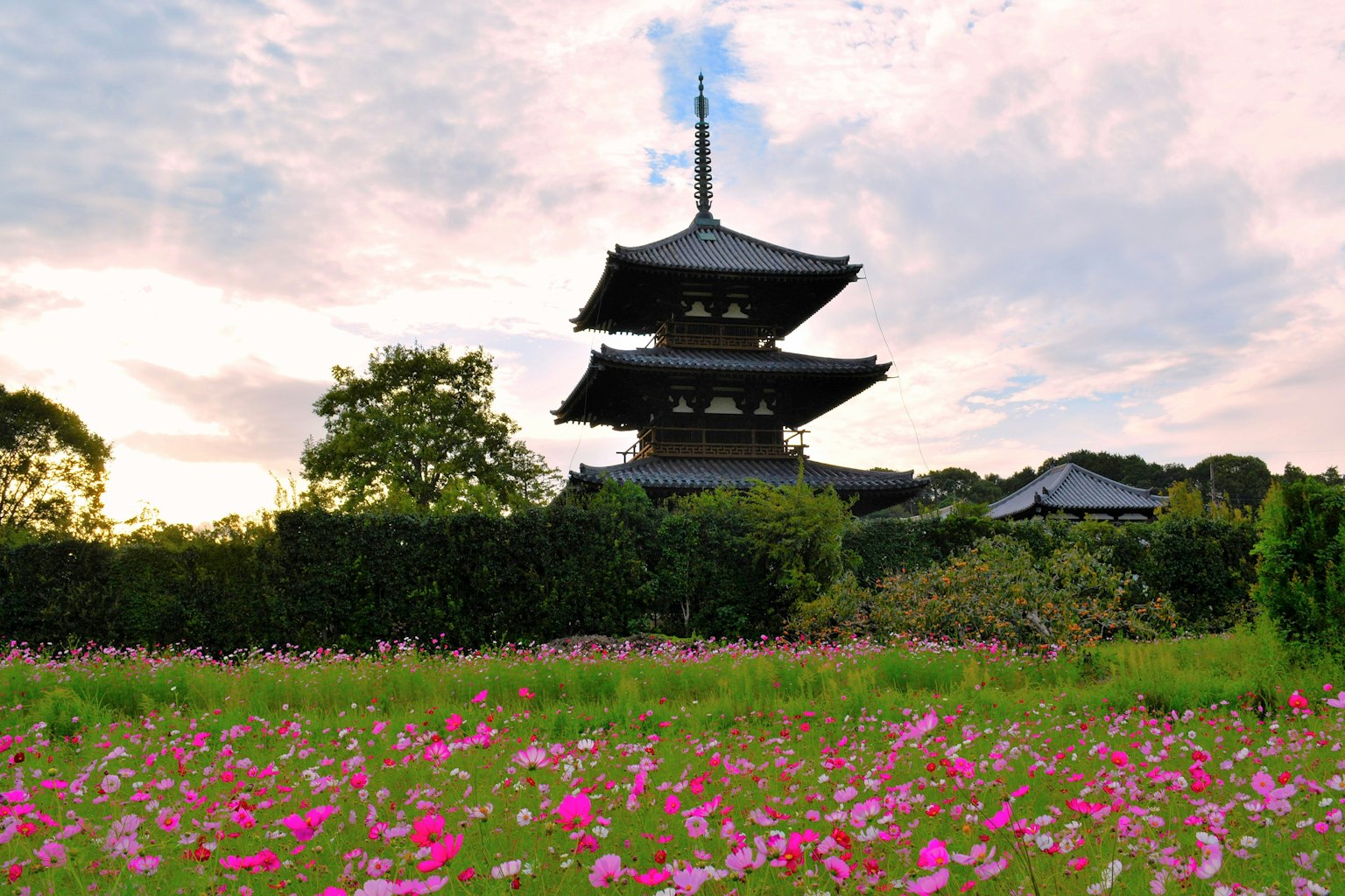 Vue pittoresque d'une pagode entourée de fleurs colorées