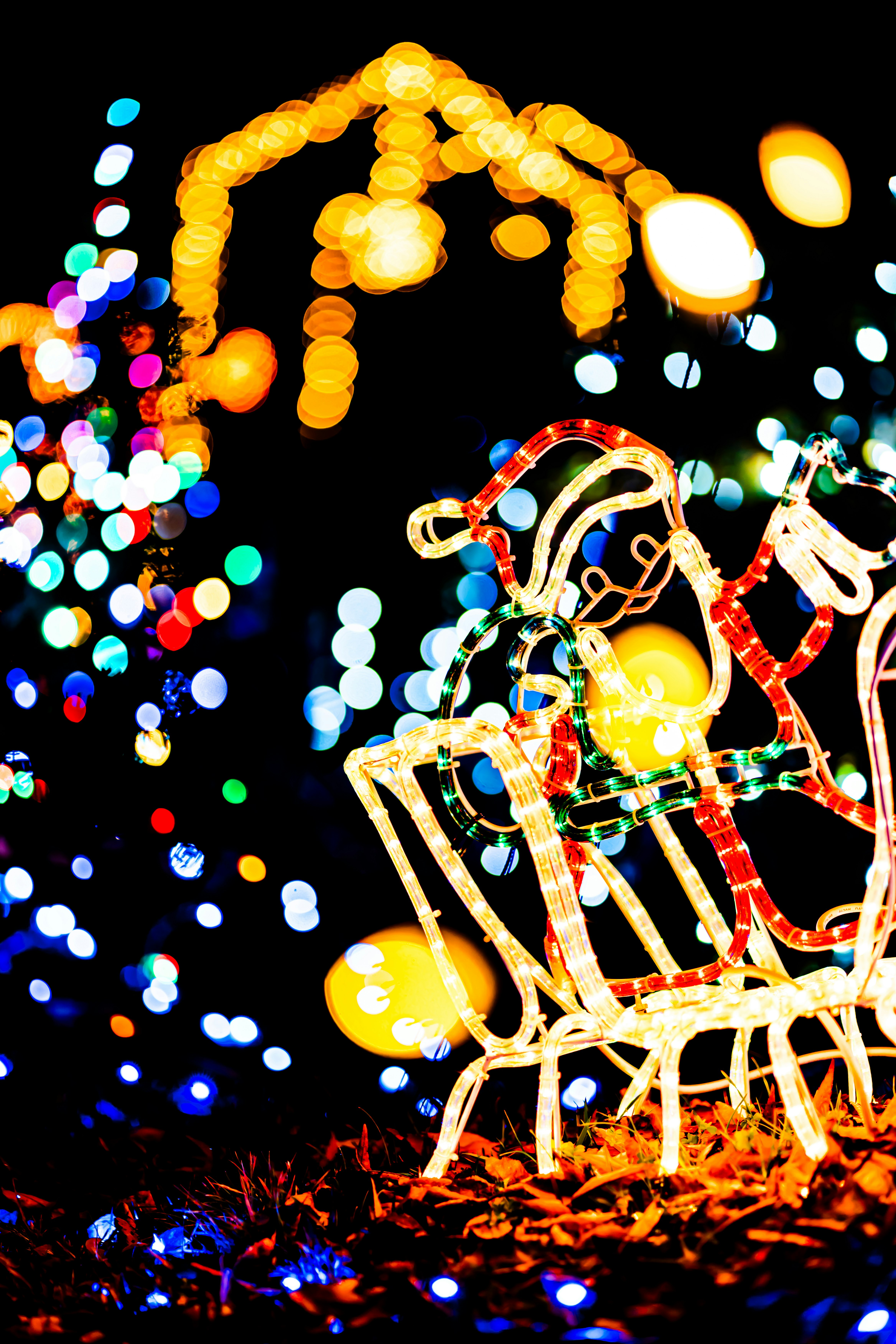 Trang trí xe ngựa phát sáng với hiệu ứng bokeh ánh đèn màu sắc