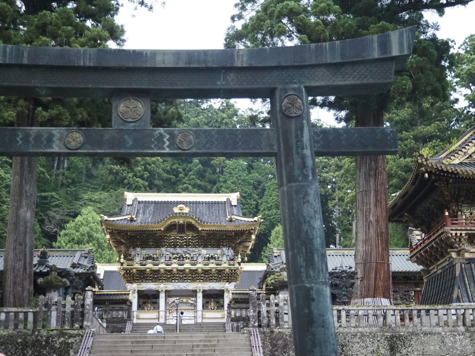 Puerta torii frente a un santuario con decoraciones doradas en un entorno verde