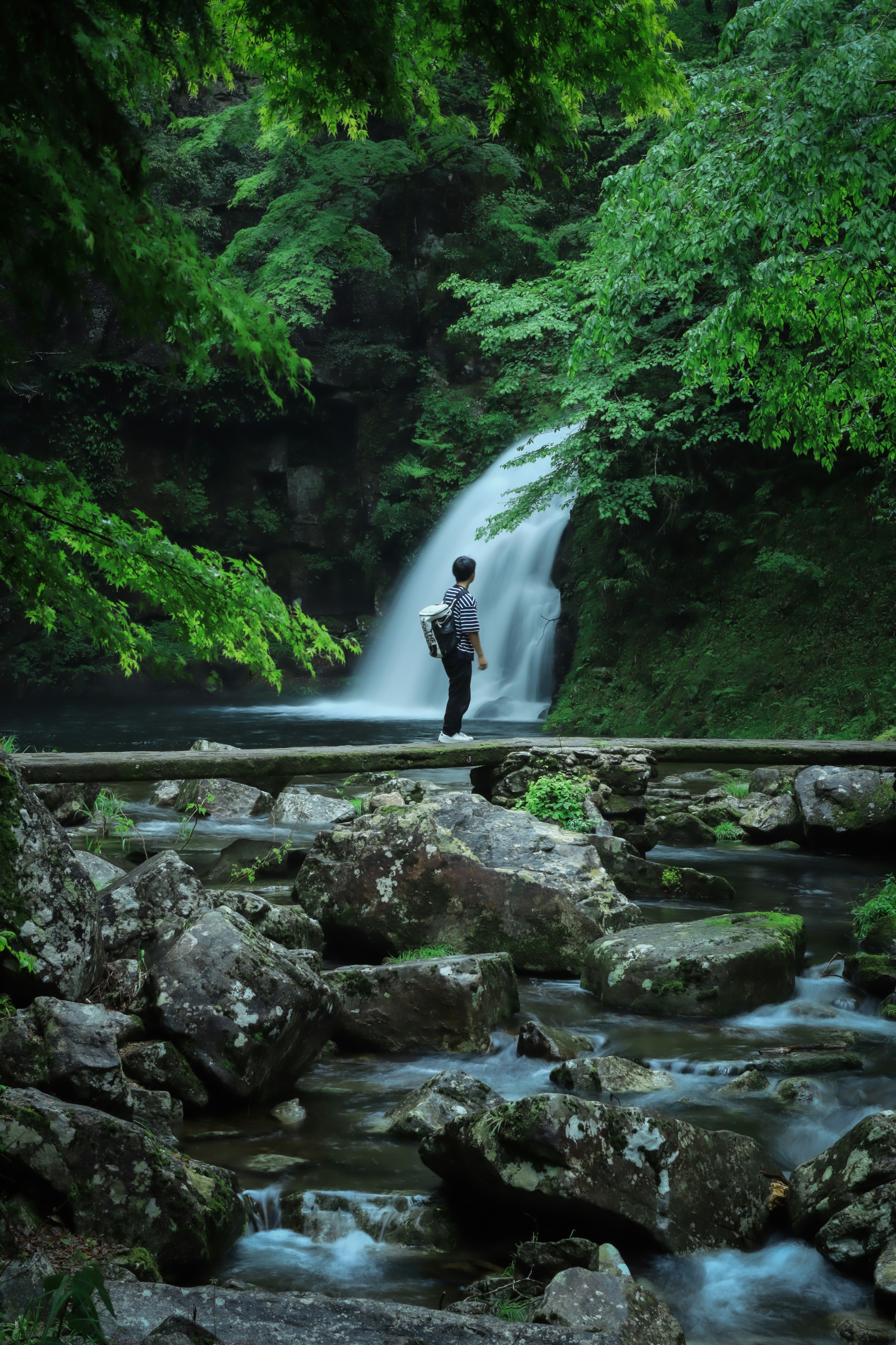 Un escursionista cammina vicino a una piccola cascata e a un ruscello in una foresta rigogliosa