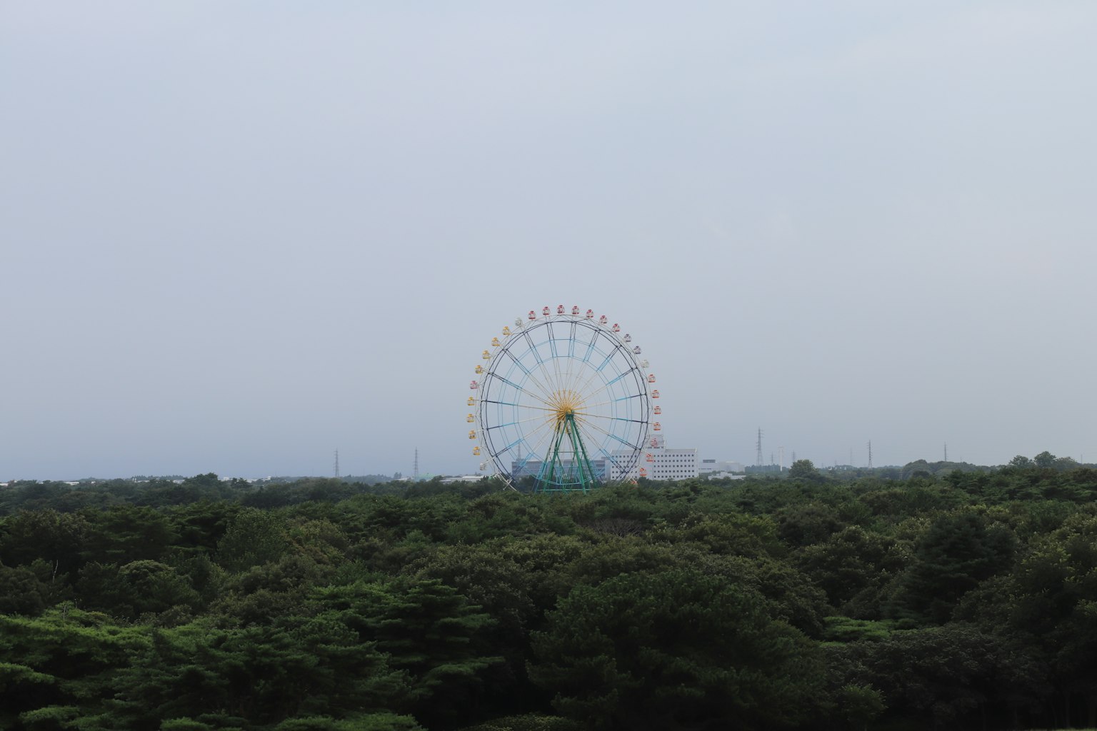 A large Ferris wheel in a lush green forest