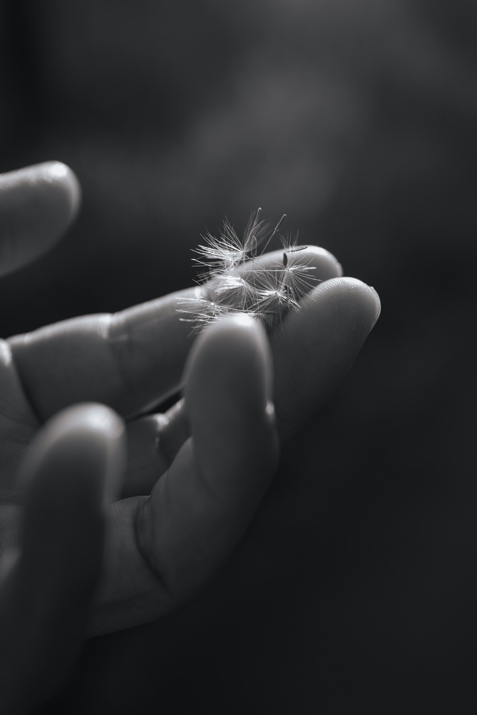 photo-OoQM0MHJ84cNbRMs3CSg-image