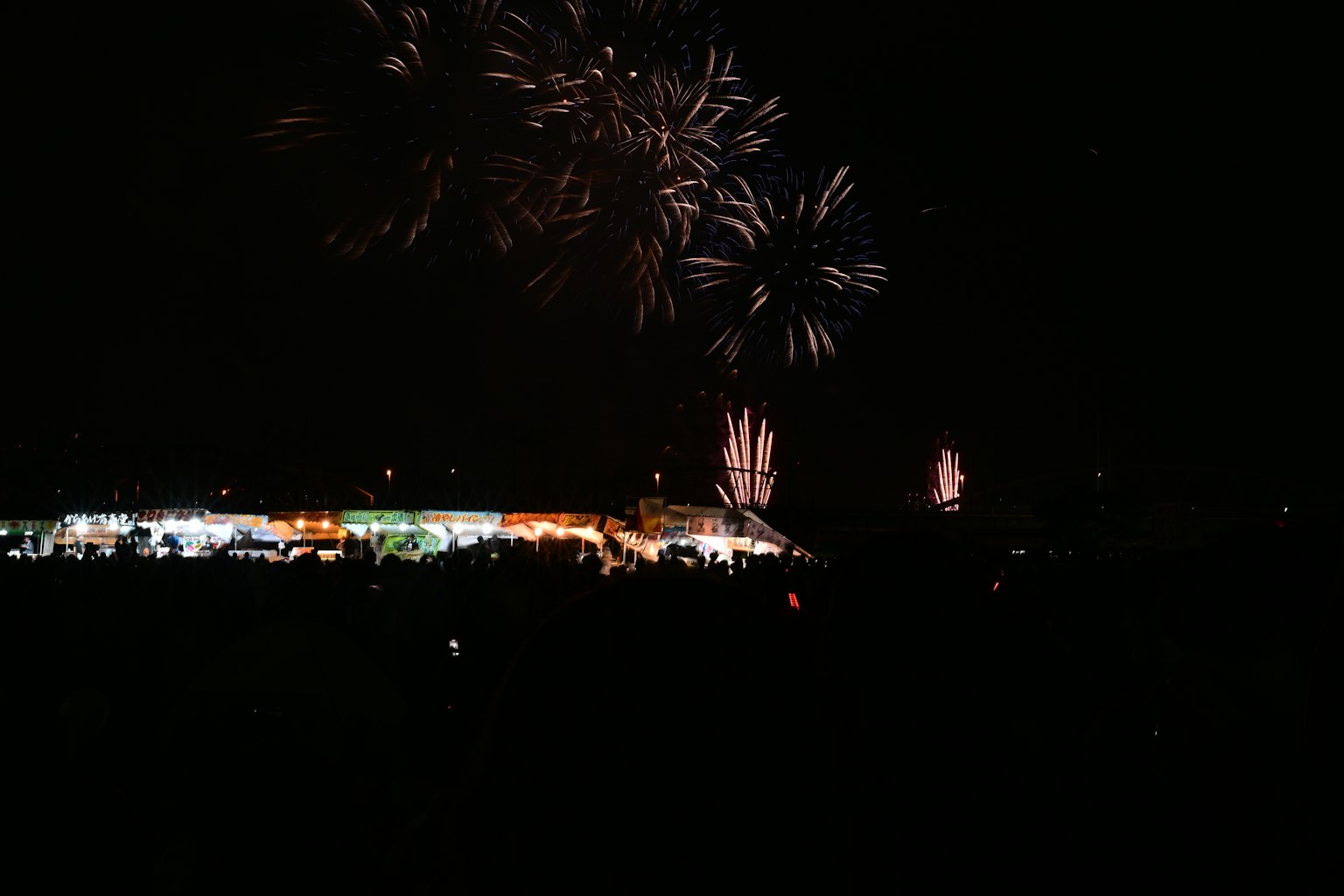 Fuegos artificiales iluminando el cielo nocturno con siluetas de espectadores