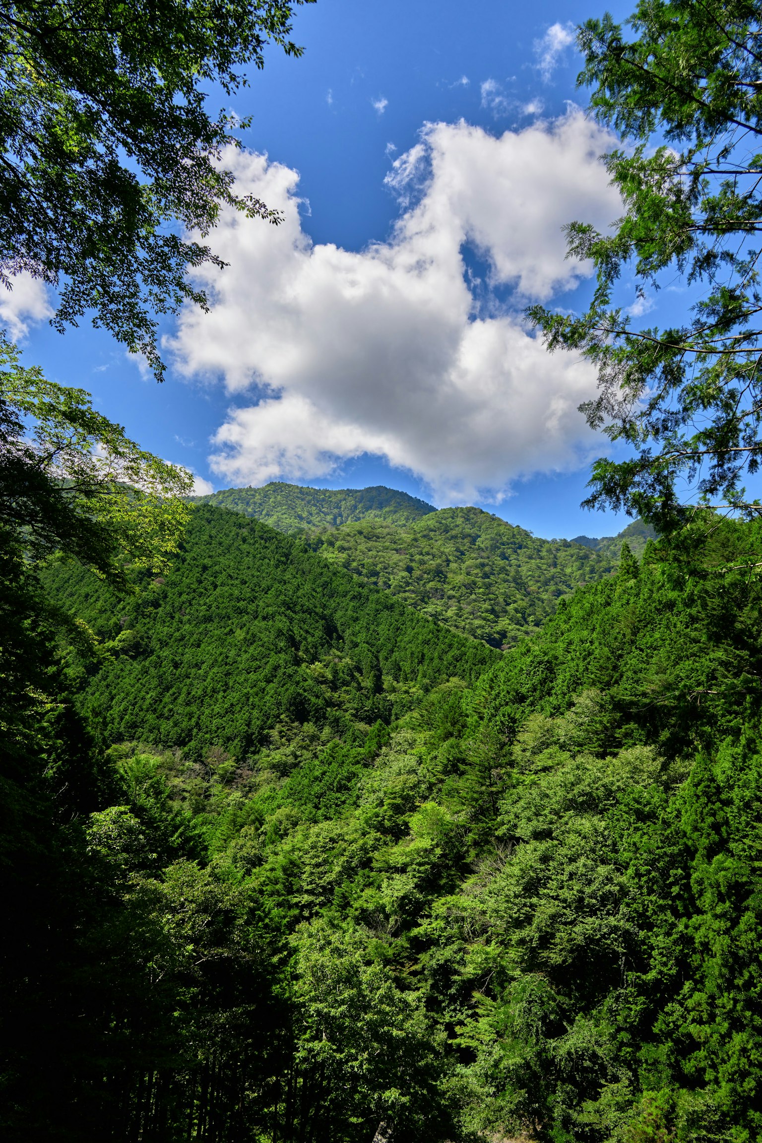 Lush green mountains under a blue sky with clouds