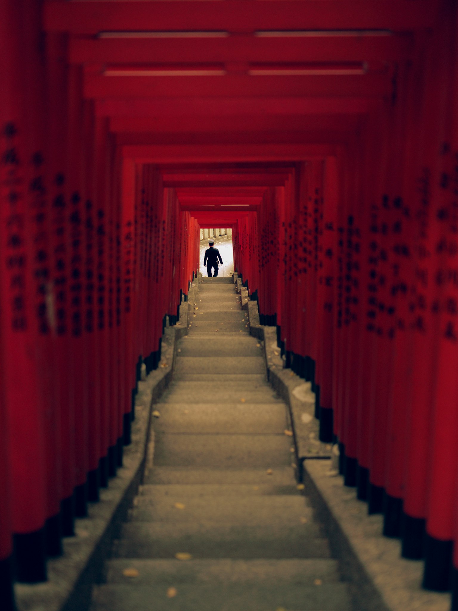 長長的樓梯兩側是紅色的鳥居遠處可見一個人