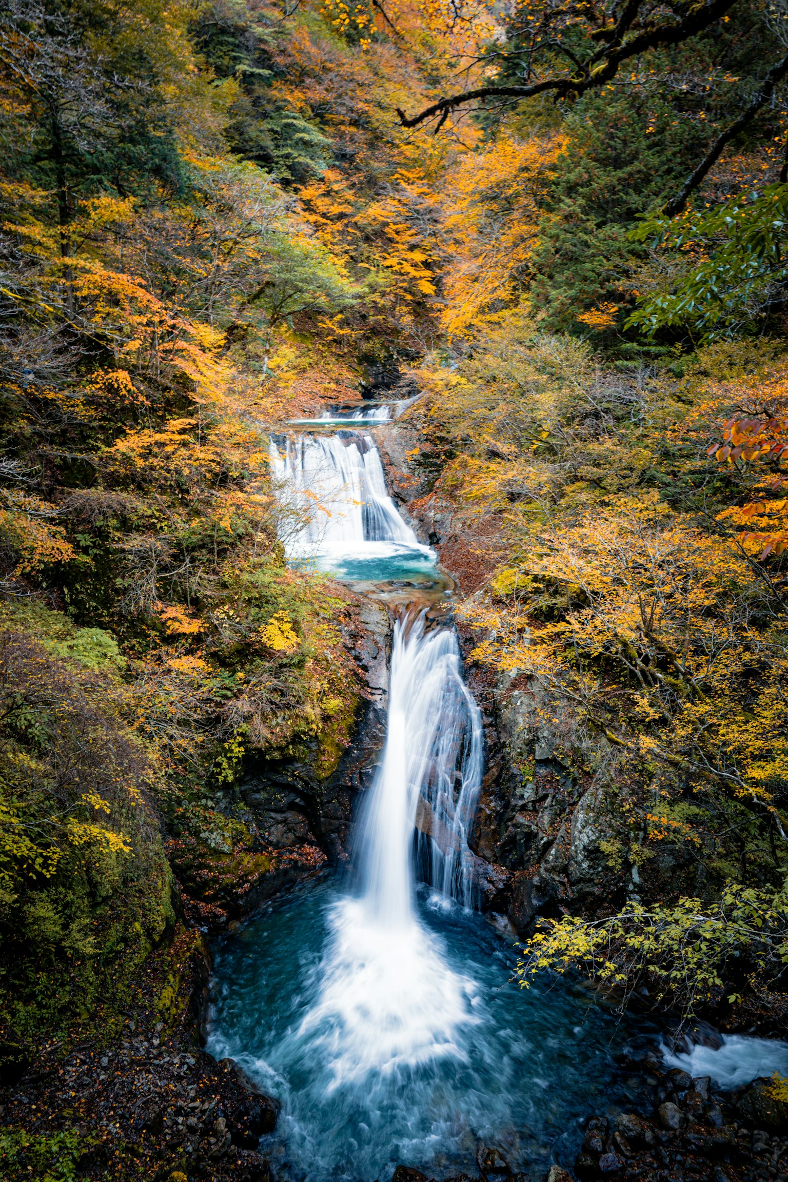 photo-OovJi5eYHDfm2OsAJt67-image