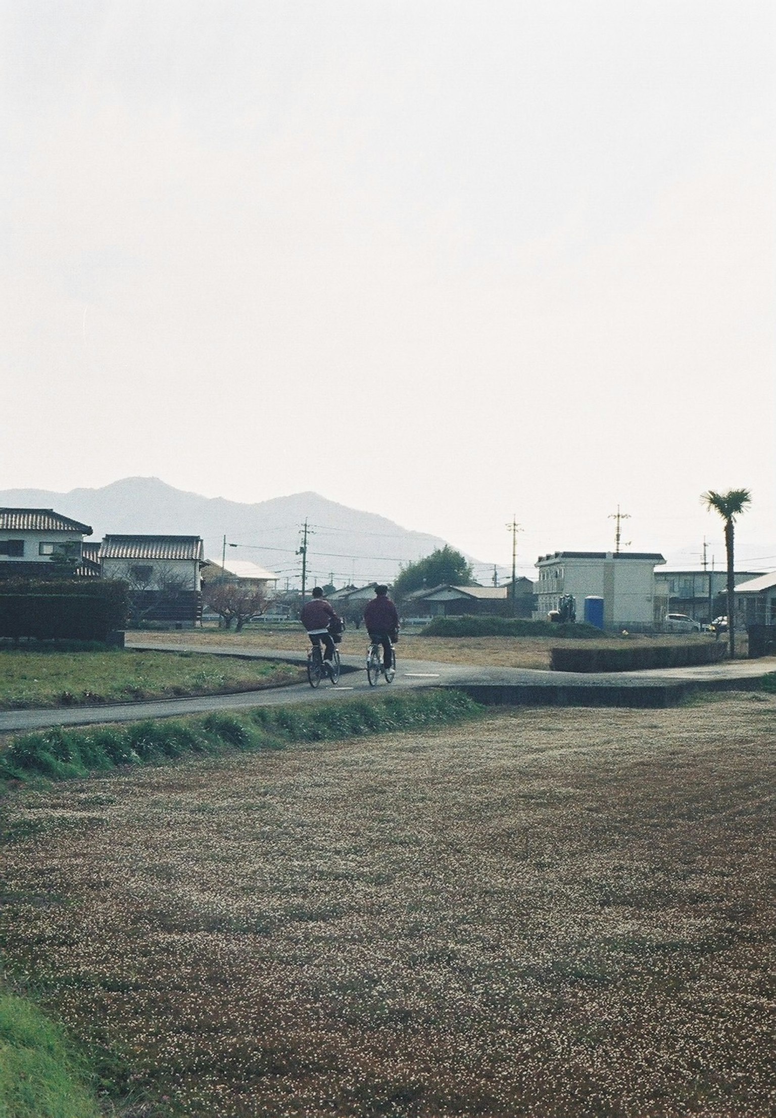 鄉村小路上行走的人們，背景是山脈