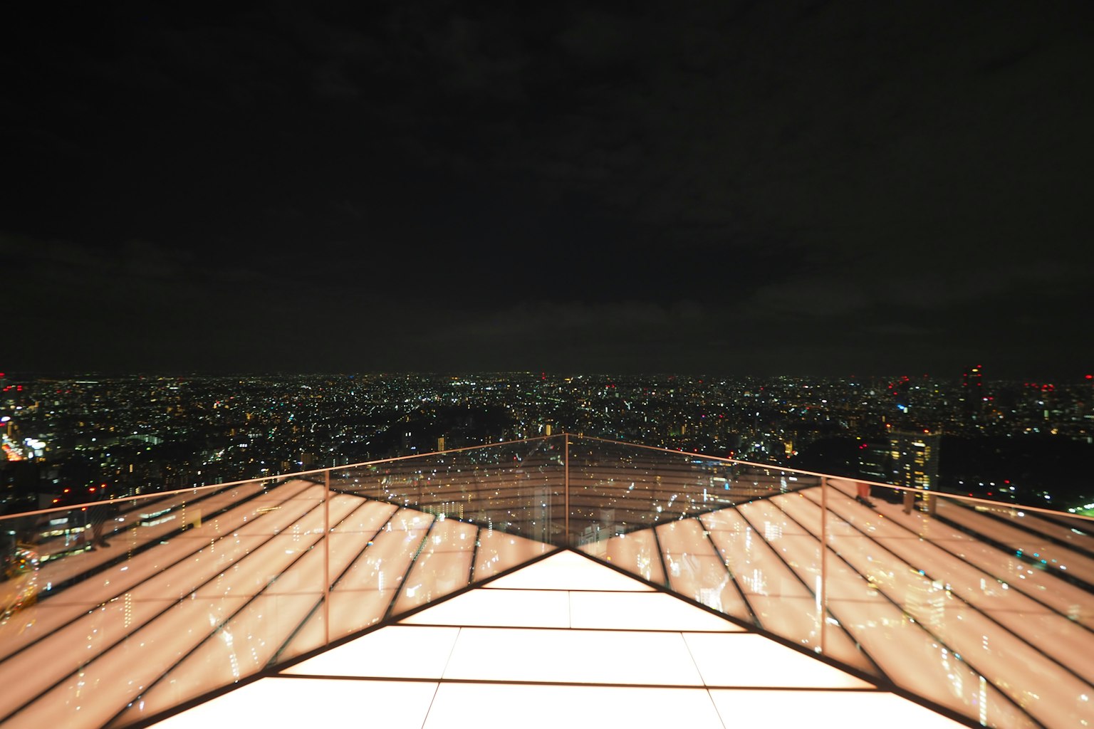 View from an observation deck overlooking a city skyline at night
