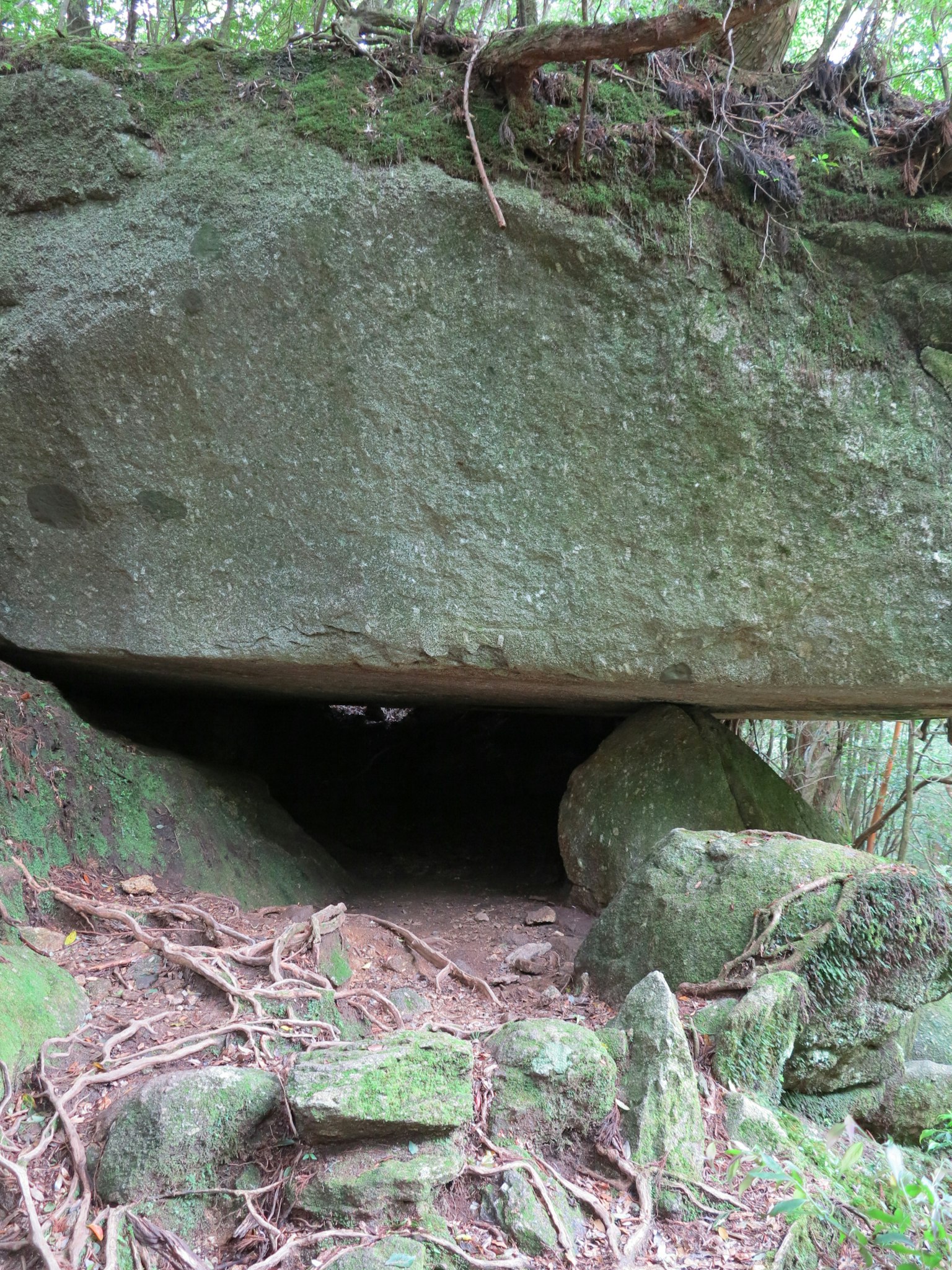 Spazio simile a una grotta sotto una grande roccia circondato da vegetazione