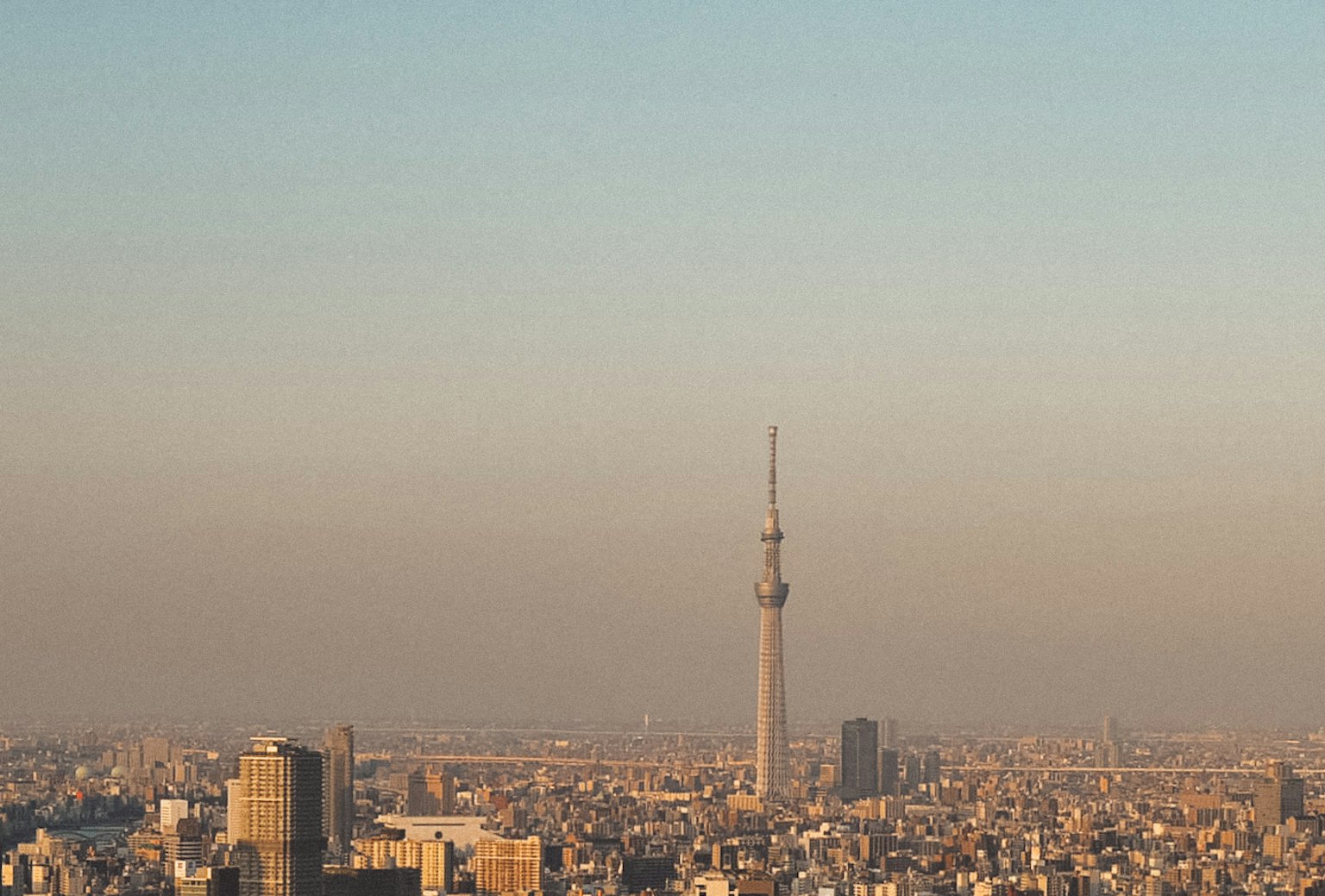 Cảnh quan toàn cảnh của Tokyo Skytree và thành phố