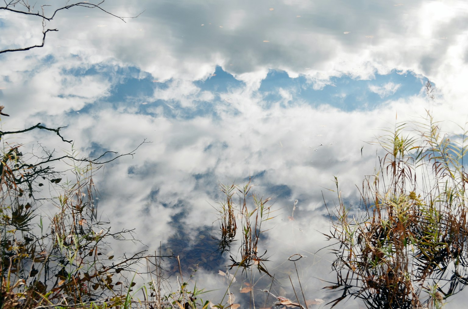 水面上天空和雲的倒影與草