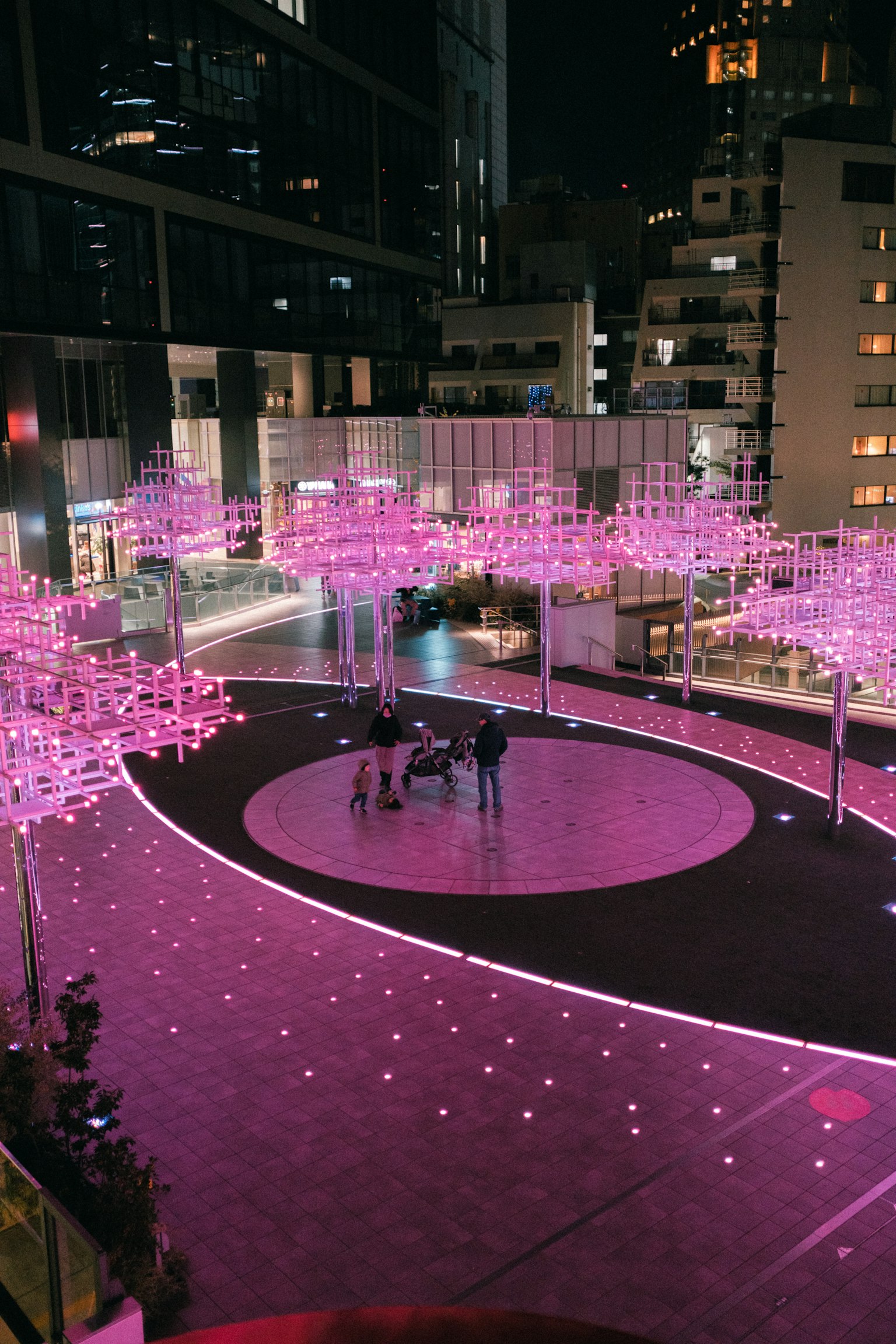 城市广场的夜景，带有粉红色照明的树木和人