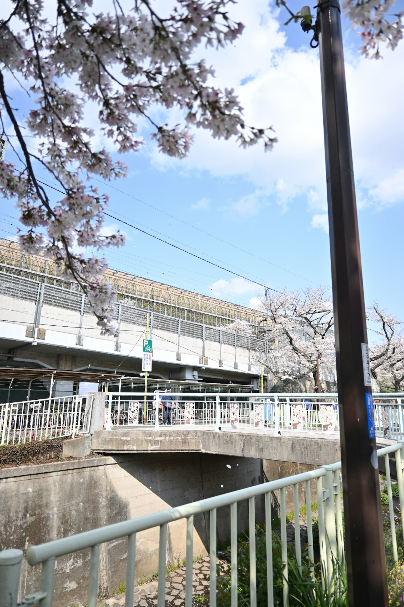 Scena primaverile con alberi di ciliegio e l'esterno di una stazione ferroviaria