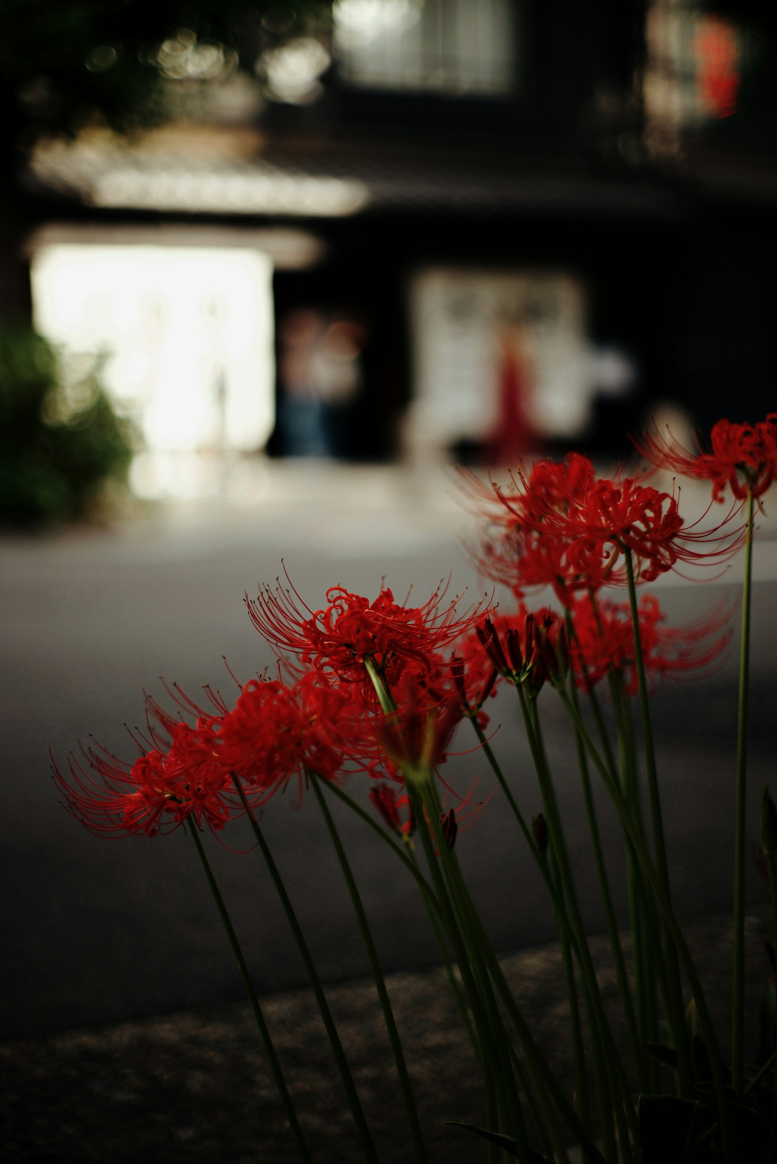 photo-OqWaY0Hi7PdxMbwAuN2z-image