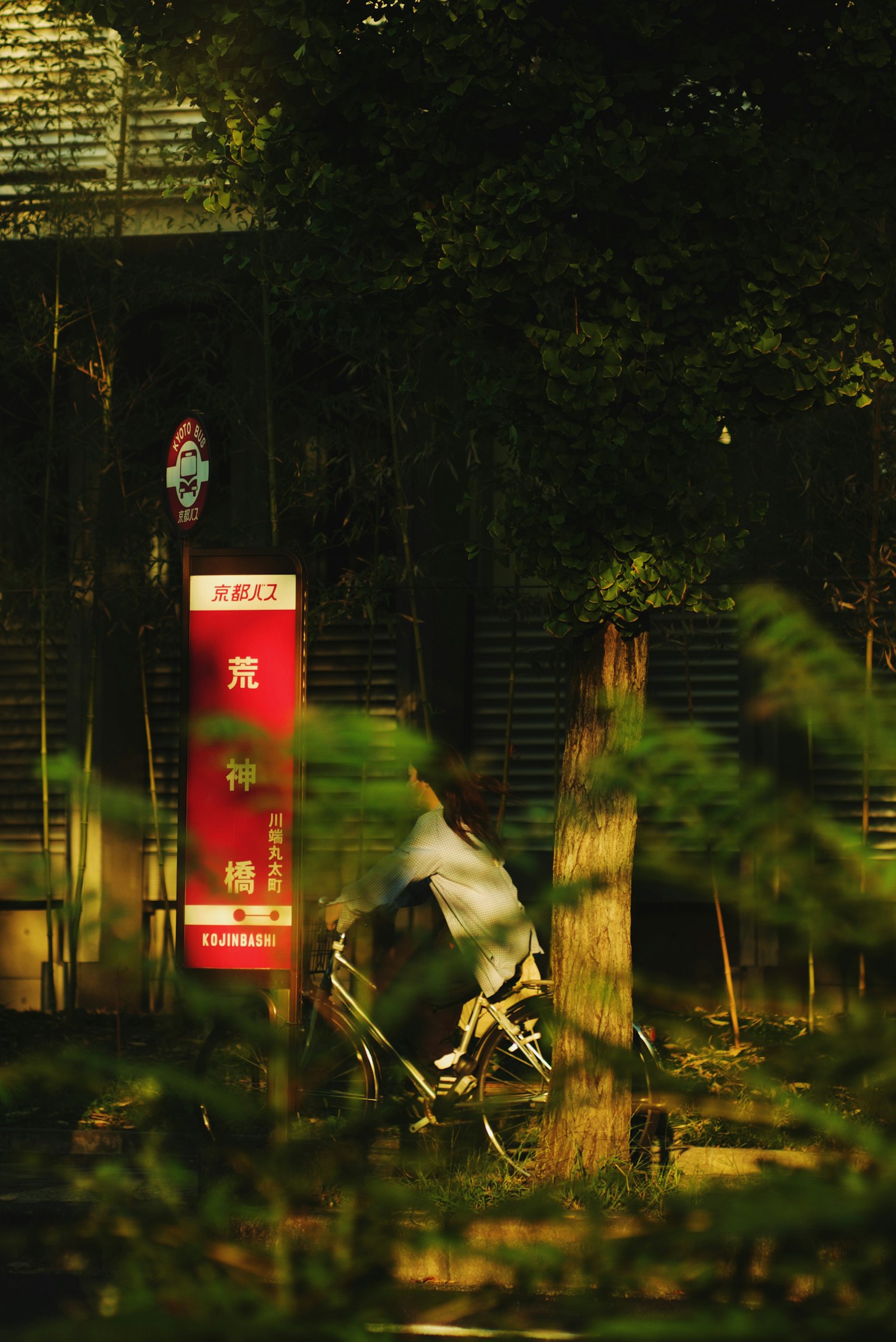 Scena con una bicicletta parzialmente nascosta dalla vegetazione e un cartello rosso