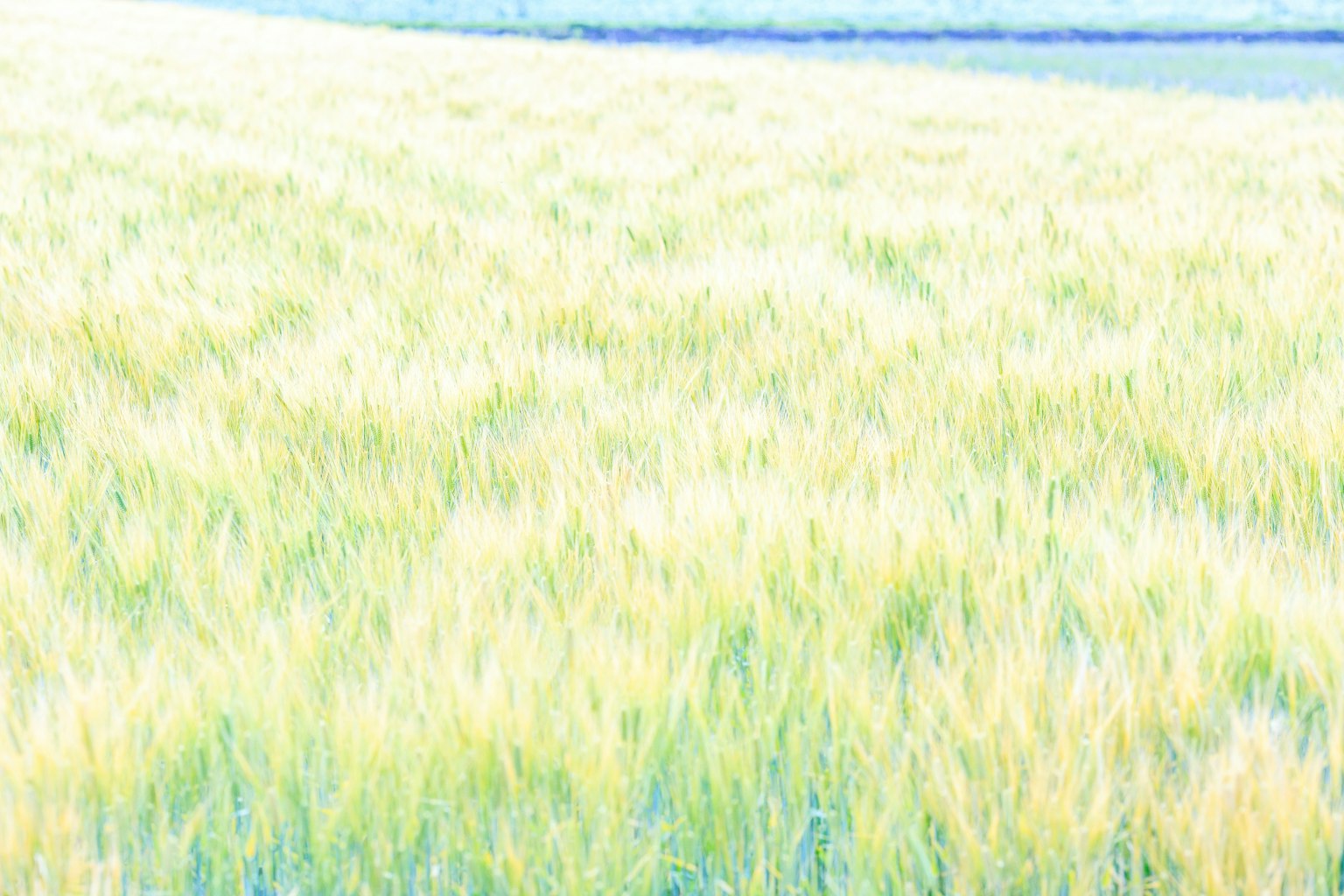 photo-OrU61ZS1kWYCNC71r5ie-image