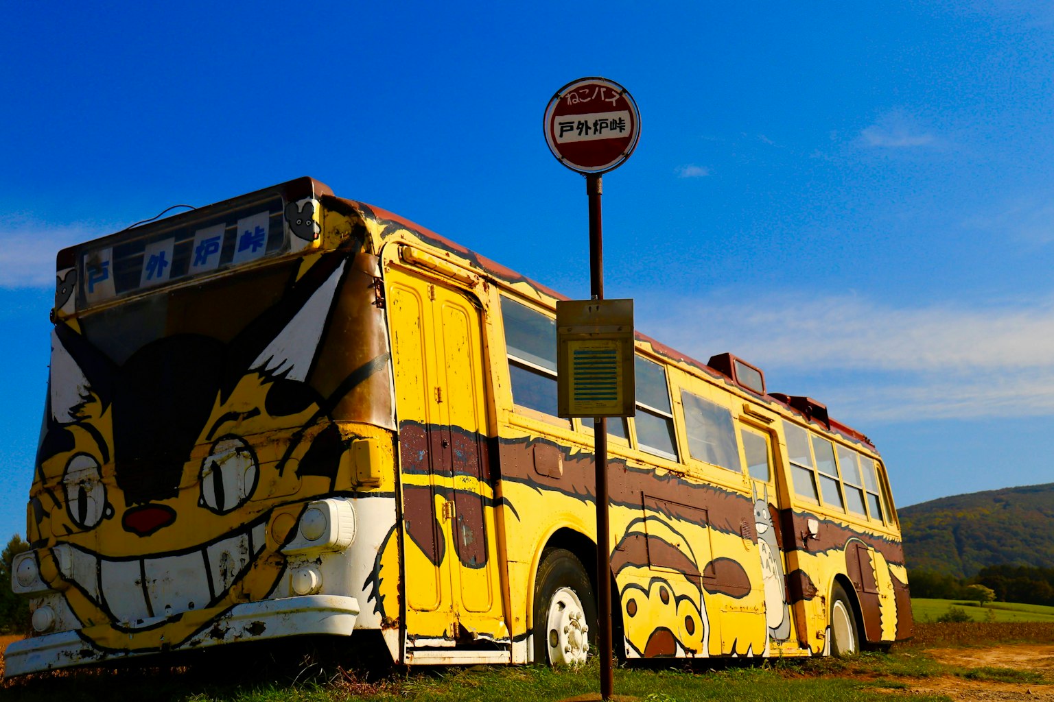 Ein gelber Bus mit einem Katzendesign vor blauem Himmel