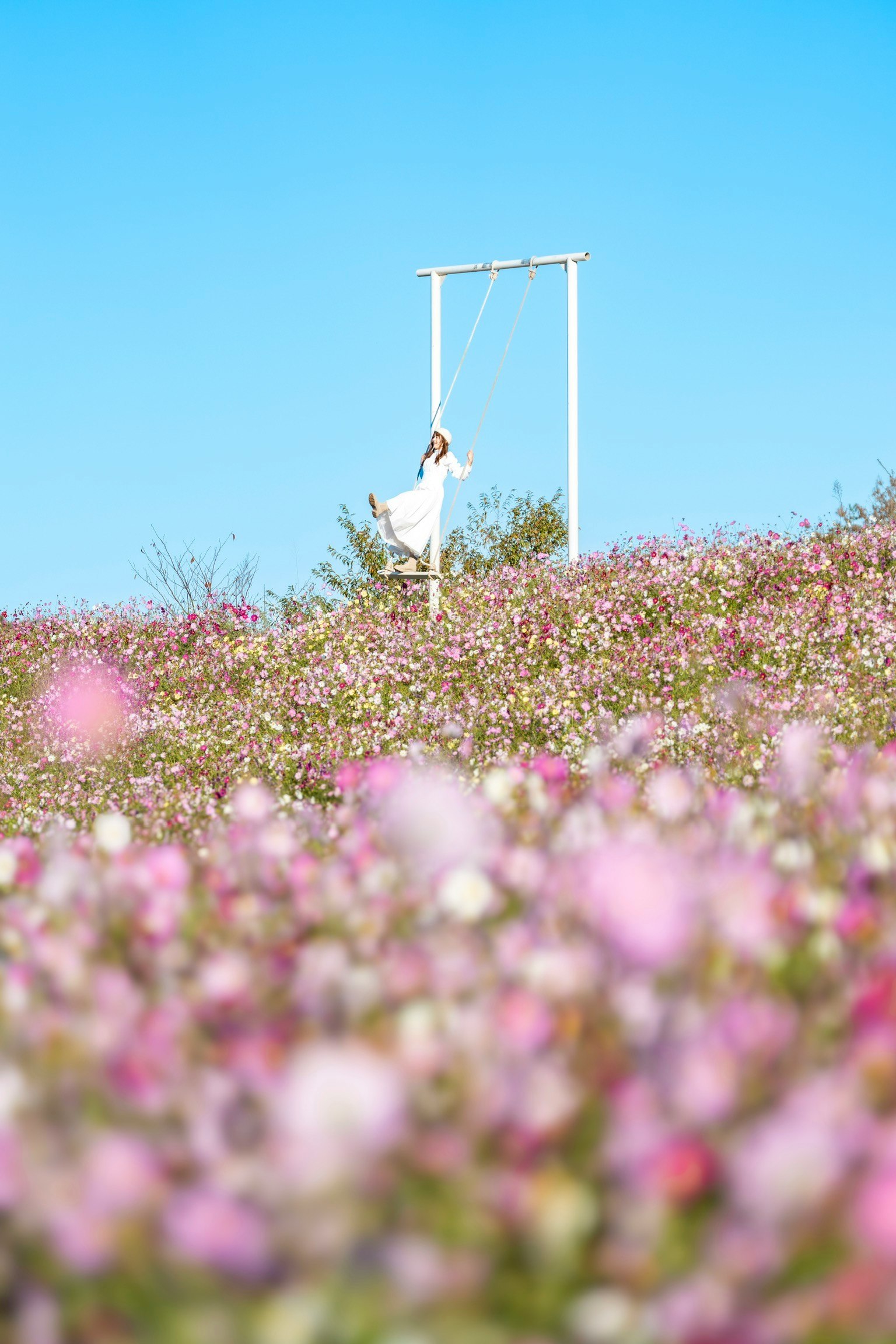 青空の下で花畑の中に立つ女性がブランコに乗っている