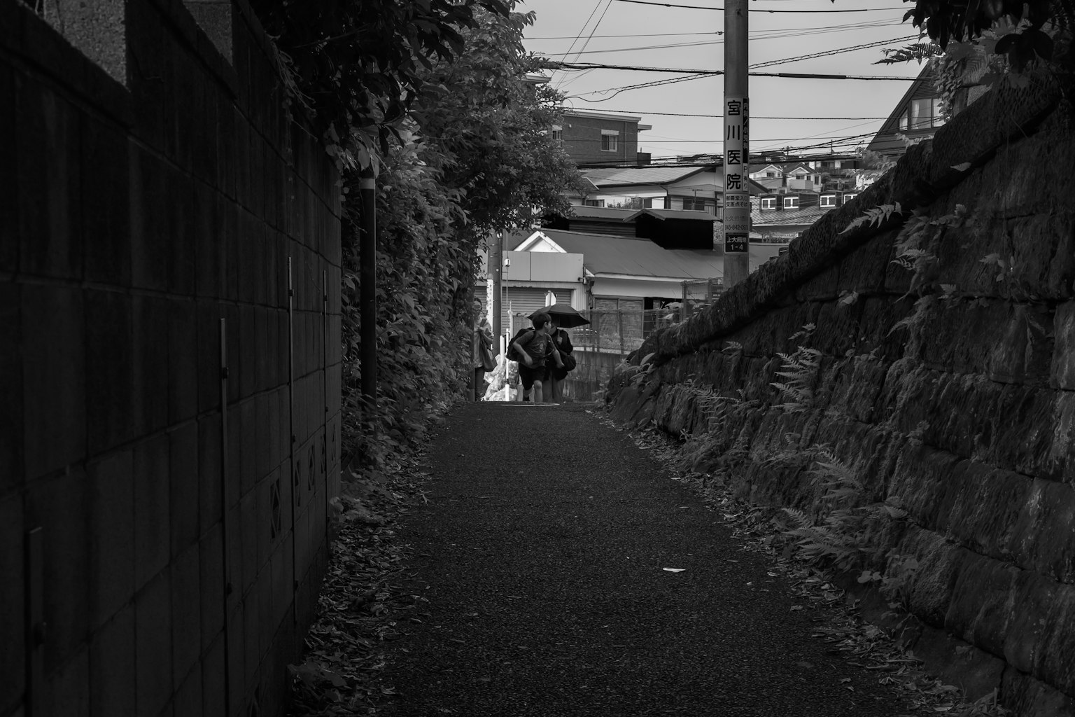 photo-Os6rVGnSmnZxdTzUzzSl-image