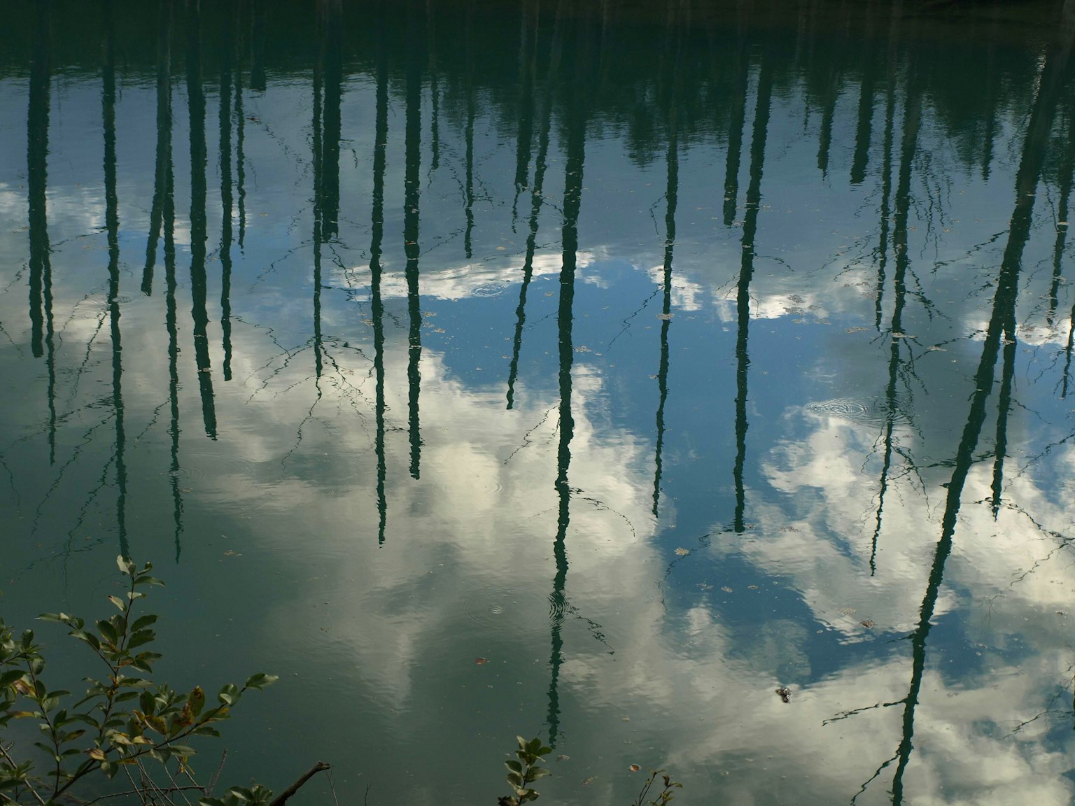 photo-OsjtyGuM0Zb2cg3SyEA0-image