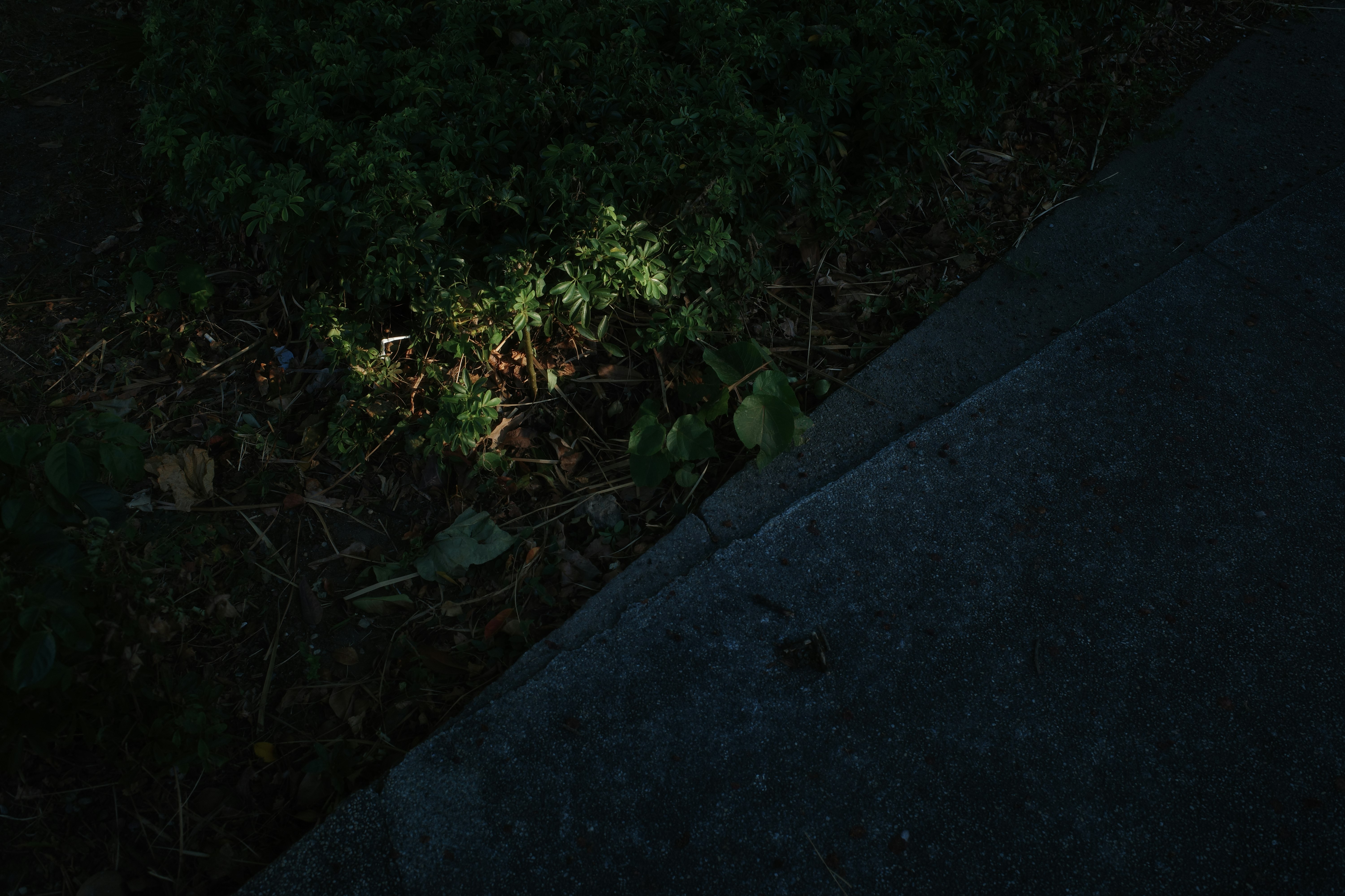 暗い路肩の草むらと石の壁